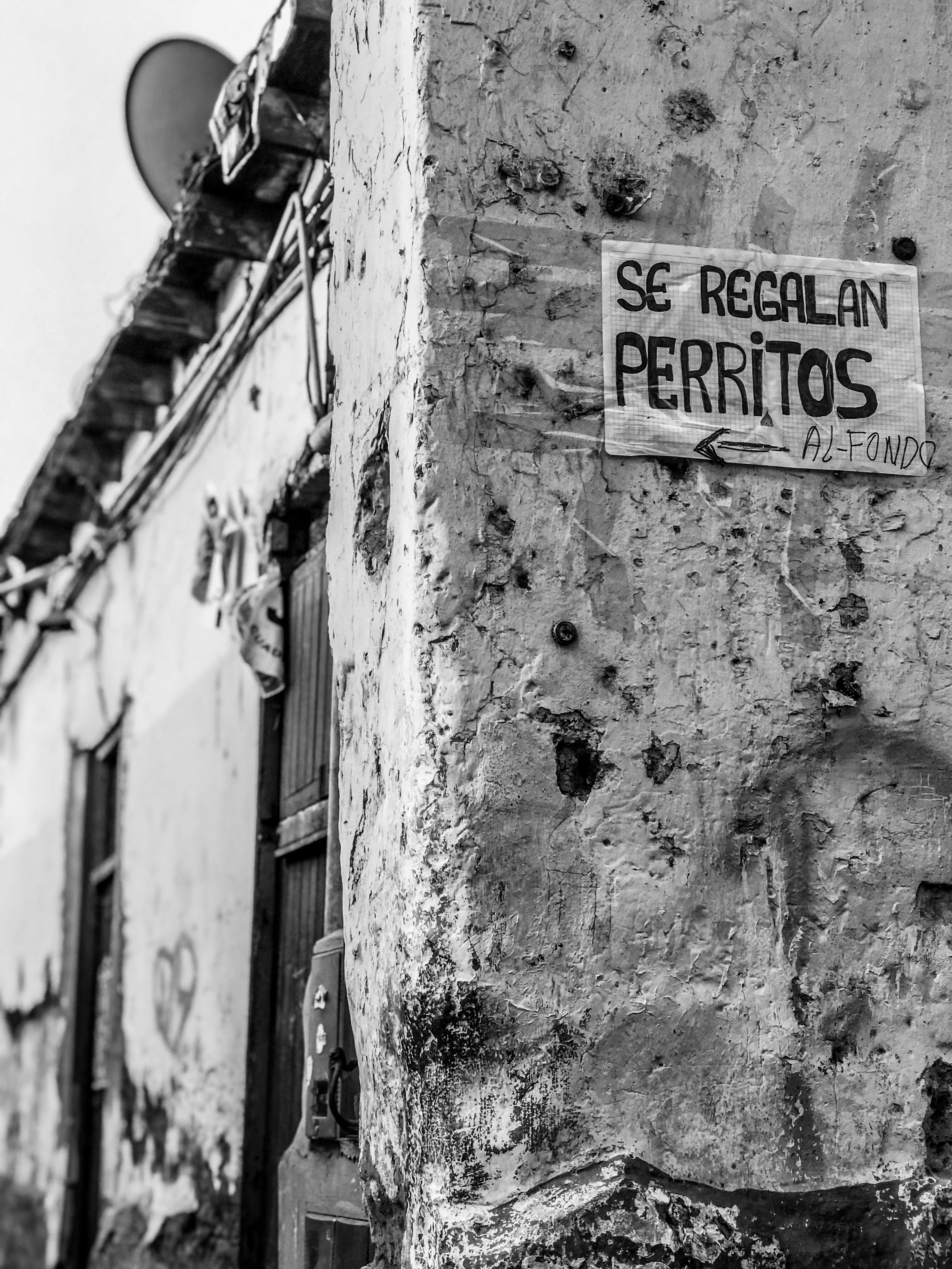 ¿Se puede respaldar o restaurar fácilmente una alternativa a la programación manual?