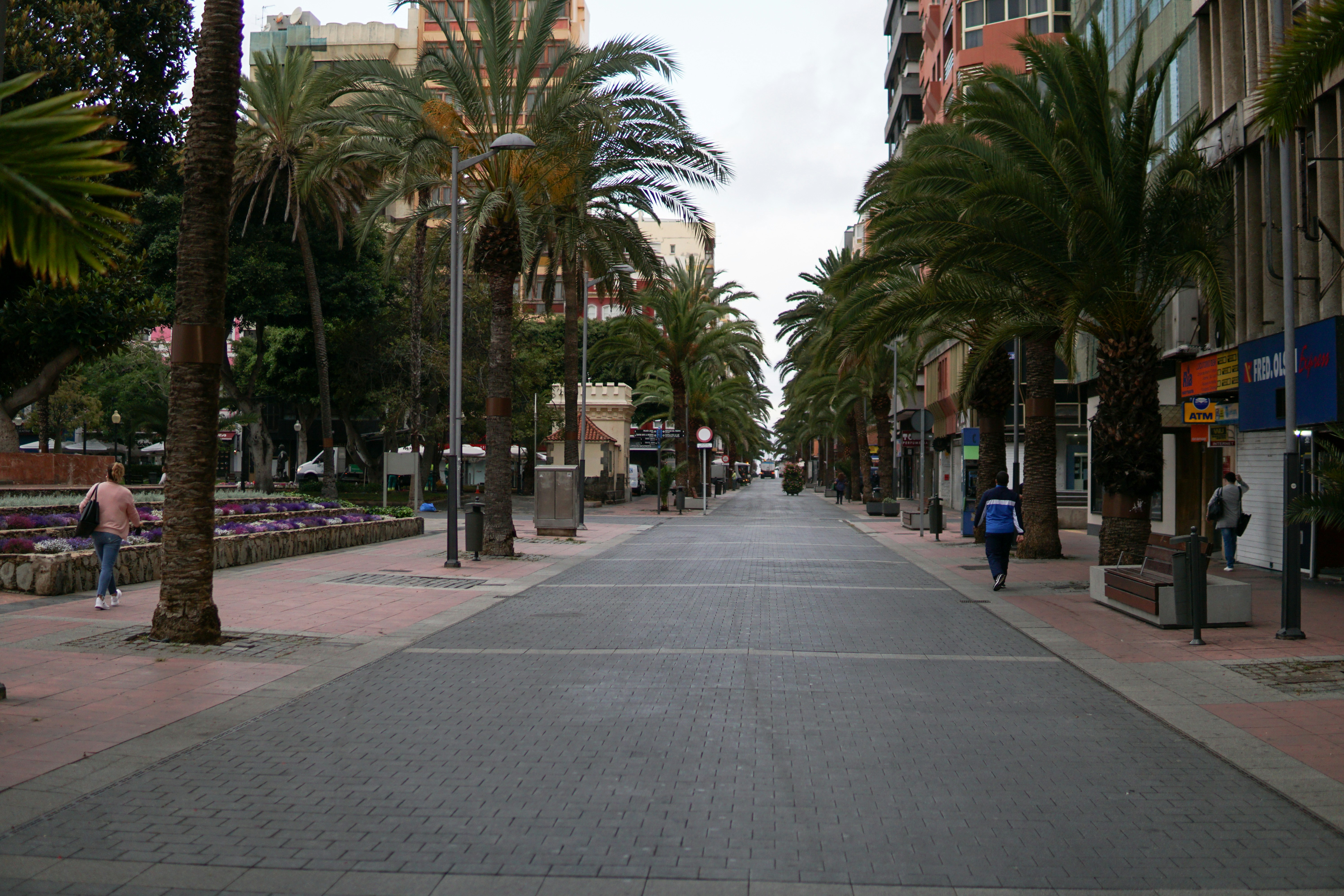 portal de inquilinos con renovaciones de alquiler en Las Palmas de Gran Canaria: preguntas y respuestas 2026