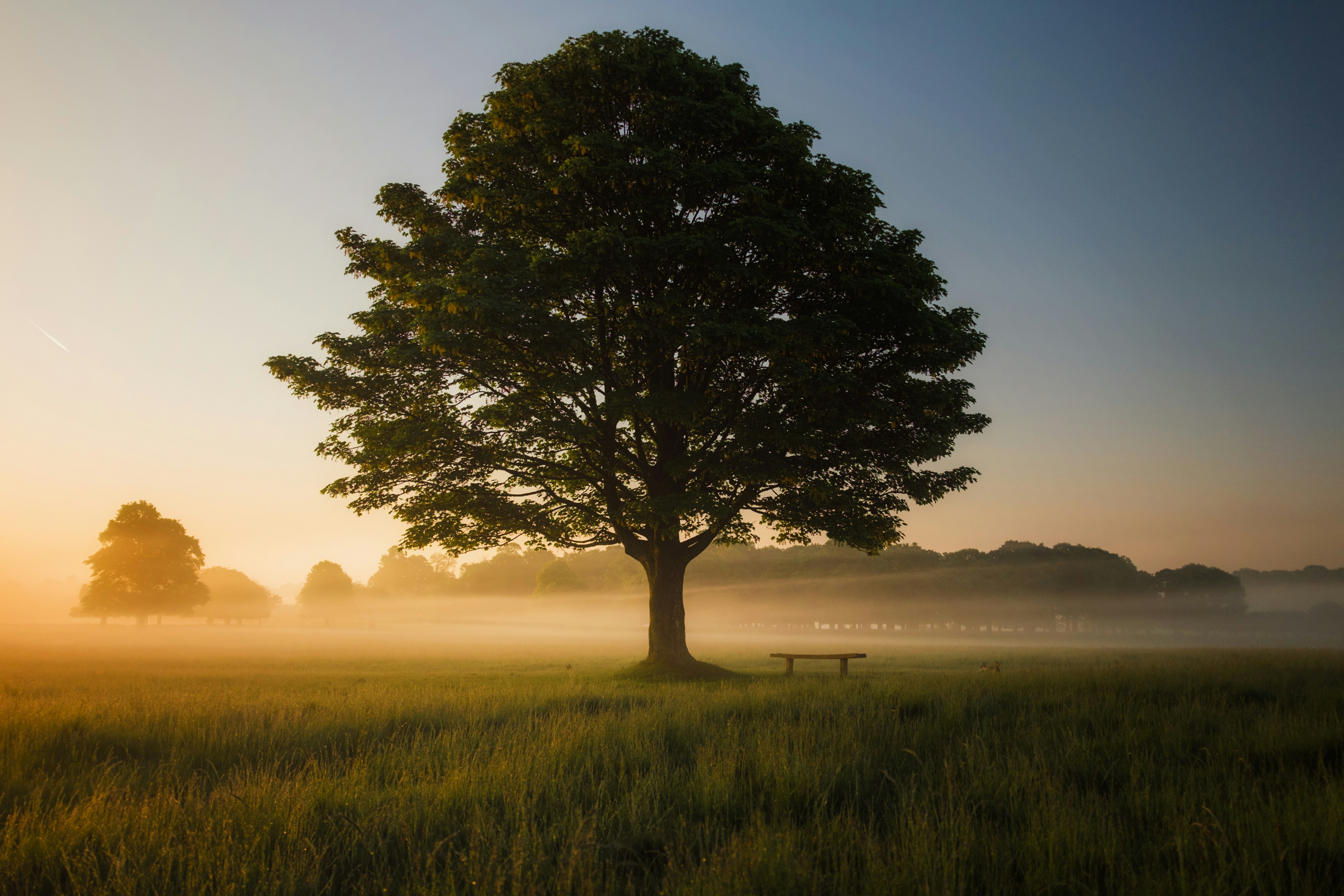 ReTreVal: Razonamiento en Árbol con Validación y Memoria entre Problemas