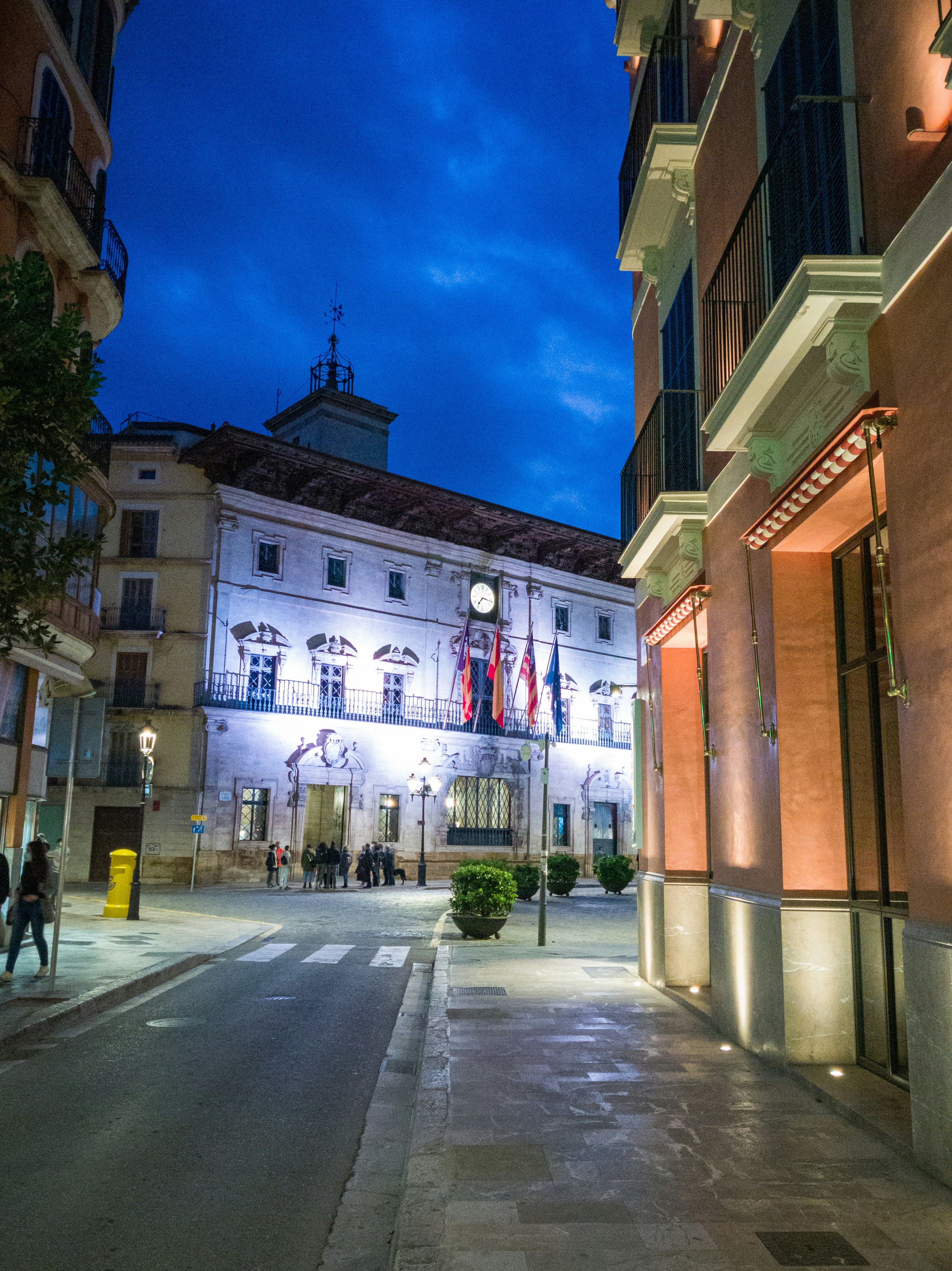 Servicios profesionales de auditoría de seguridad de código fuente en Palma