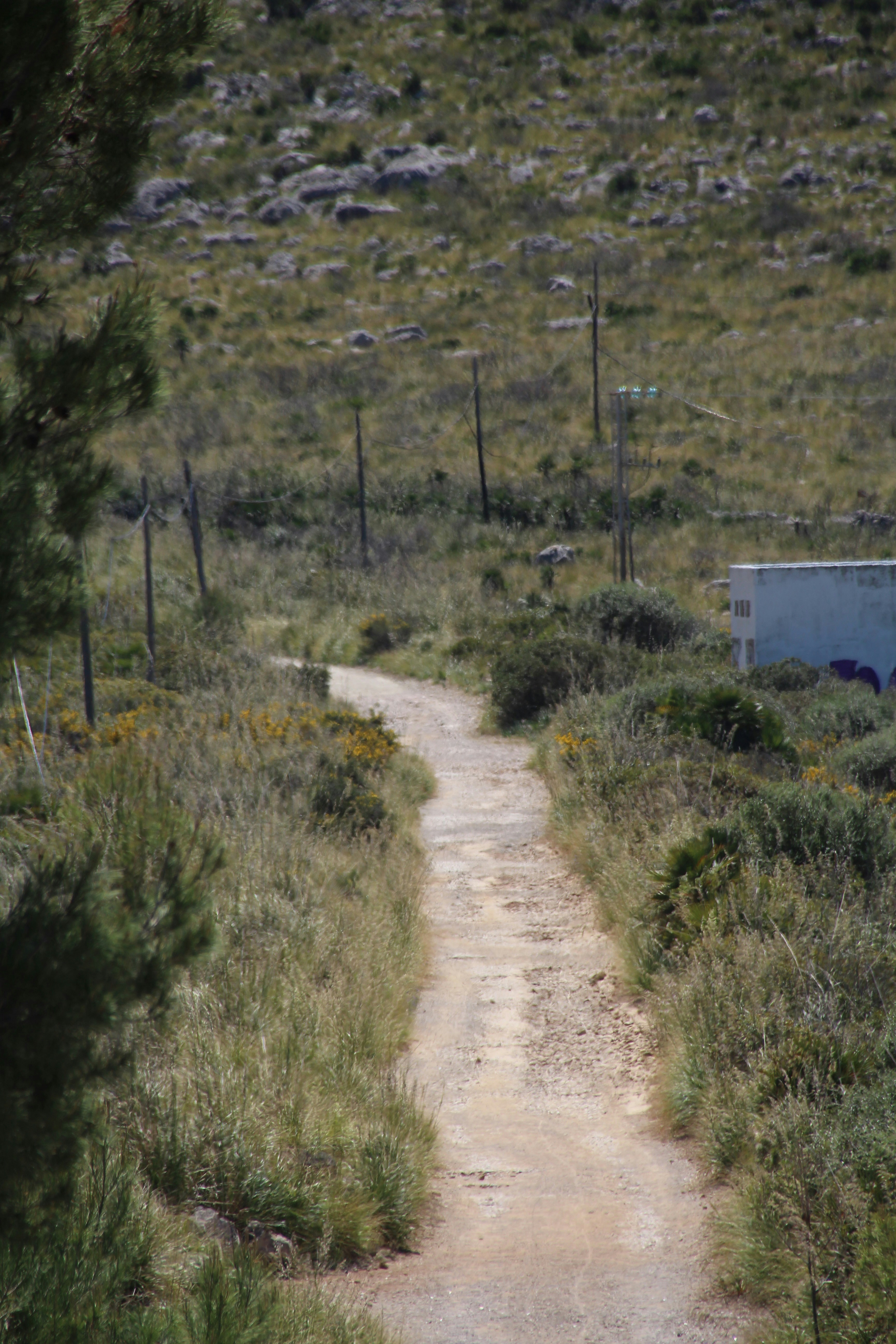 Caminos hacia la AGI