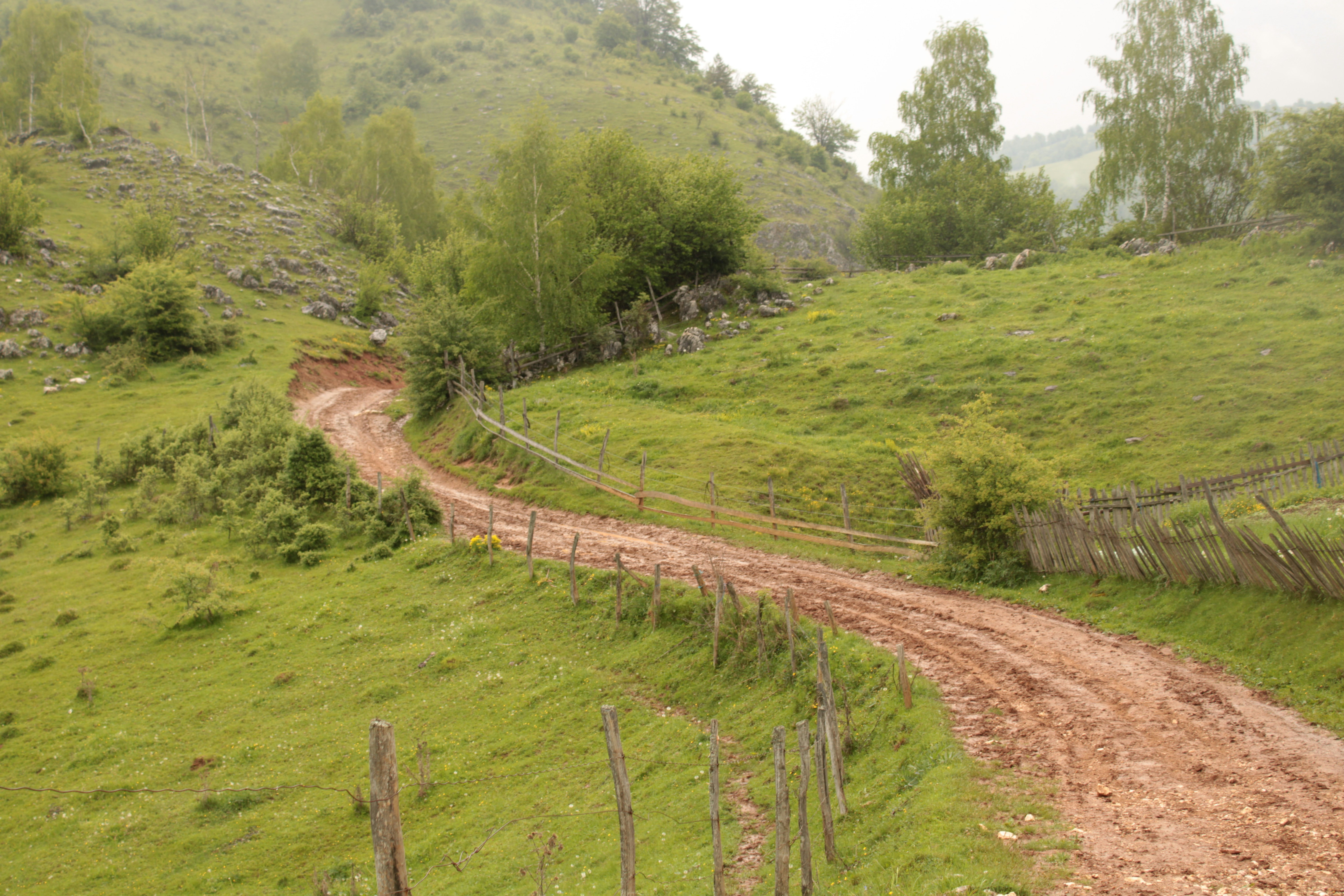 Muestras de camino con gradientes integrados