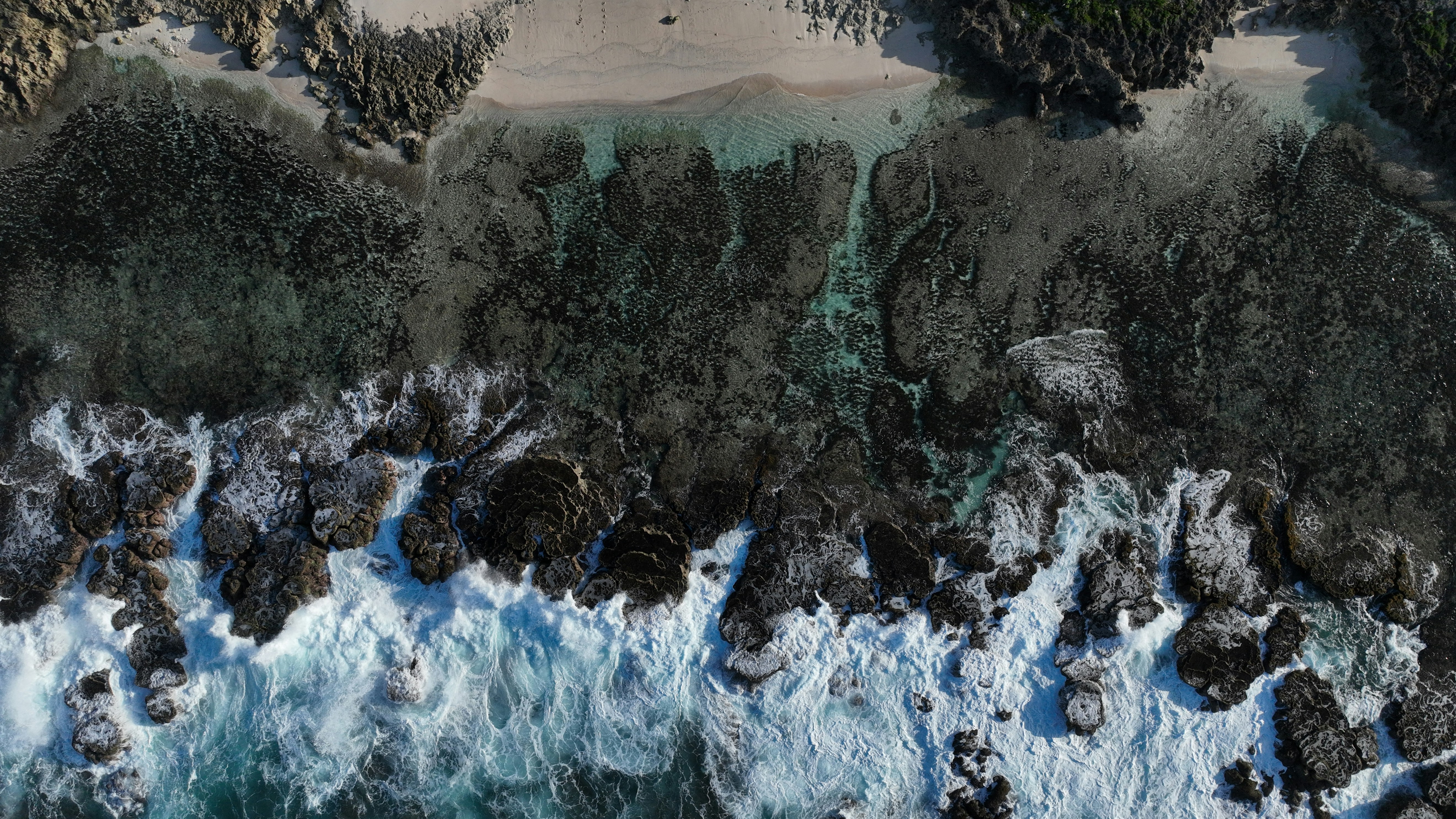 Samudra 2: Emulador oceánico neural multi-resolución