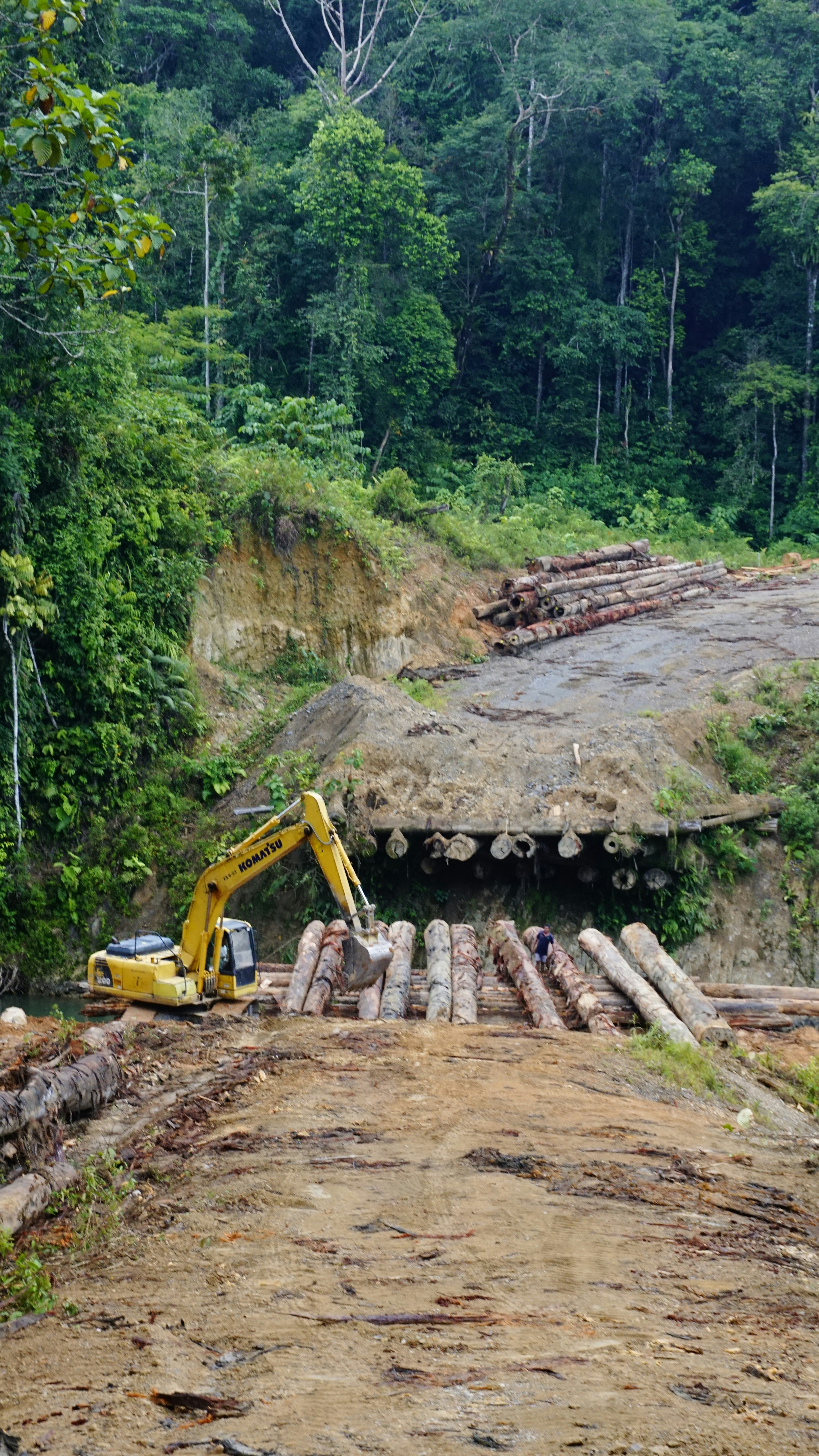 Sarang Gupta construye sistemas de IA con impacto en el mundo real