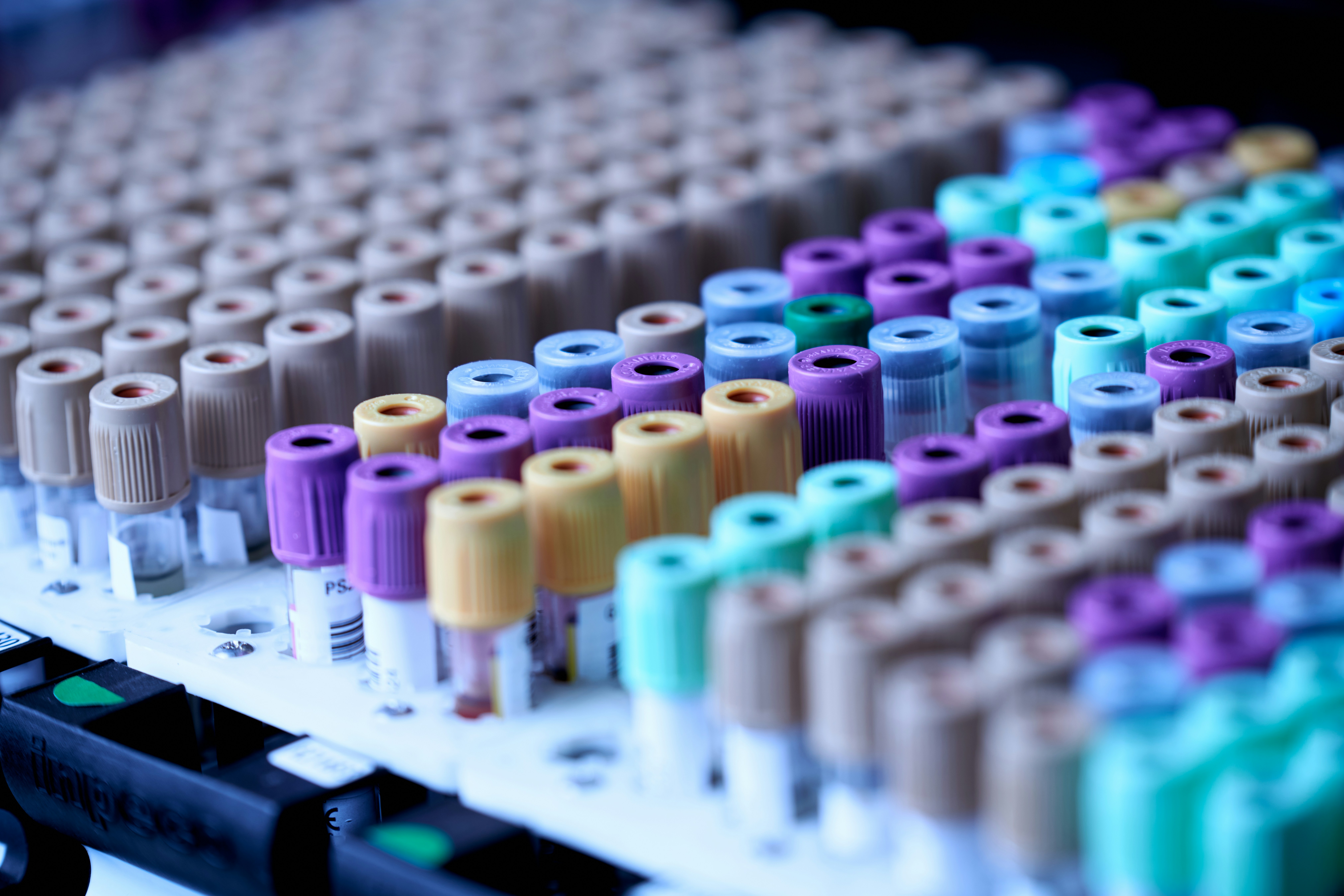scLLM-DSC: Agrupamiento Estructural Profundo Multimodal con LLM para scRNA-seq