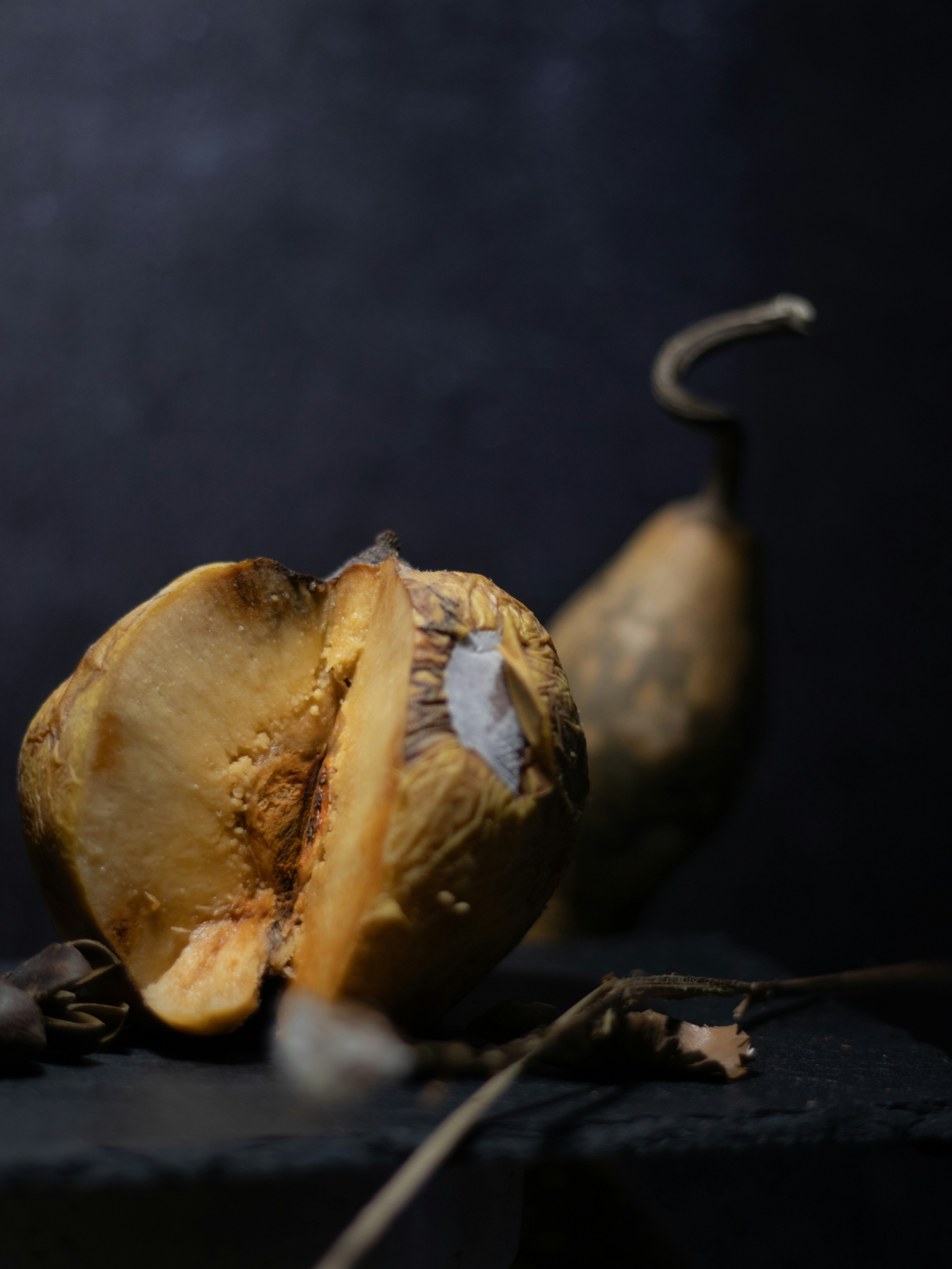 Se publica el sistema operativo Zipper OS Acorn