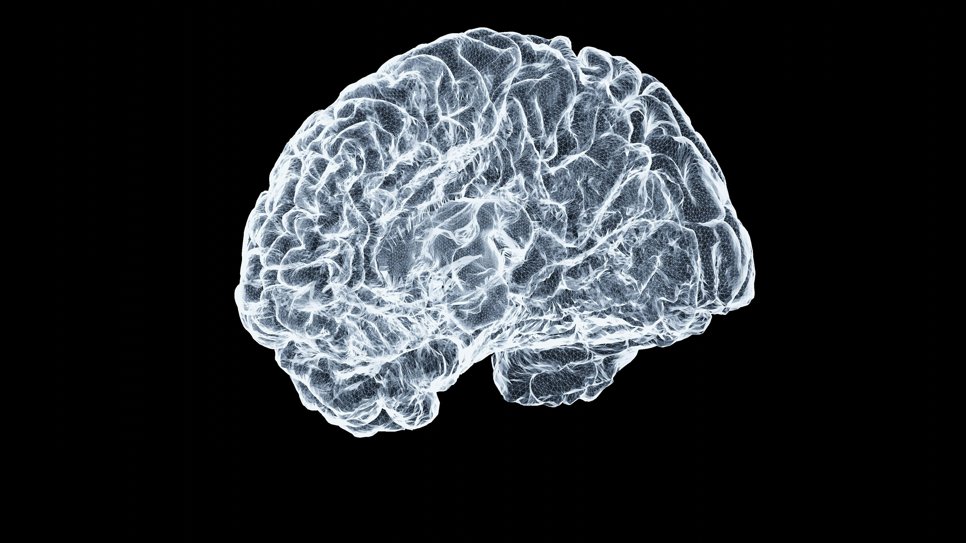 Comparativa de estrategias para segmentar lesiones cerebrales con datos parciales