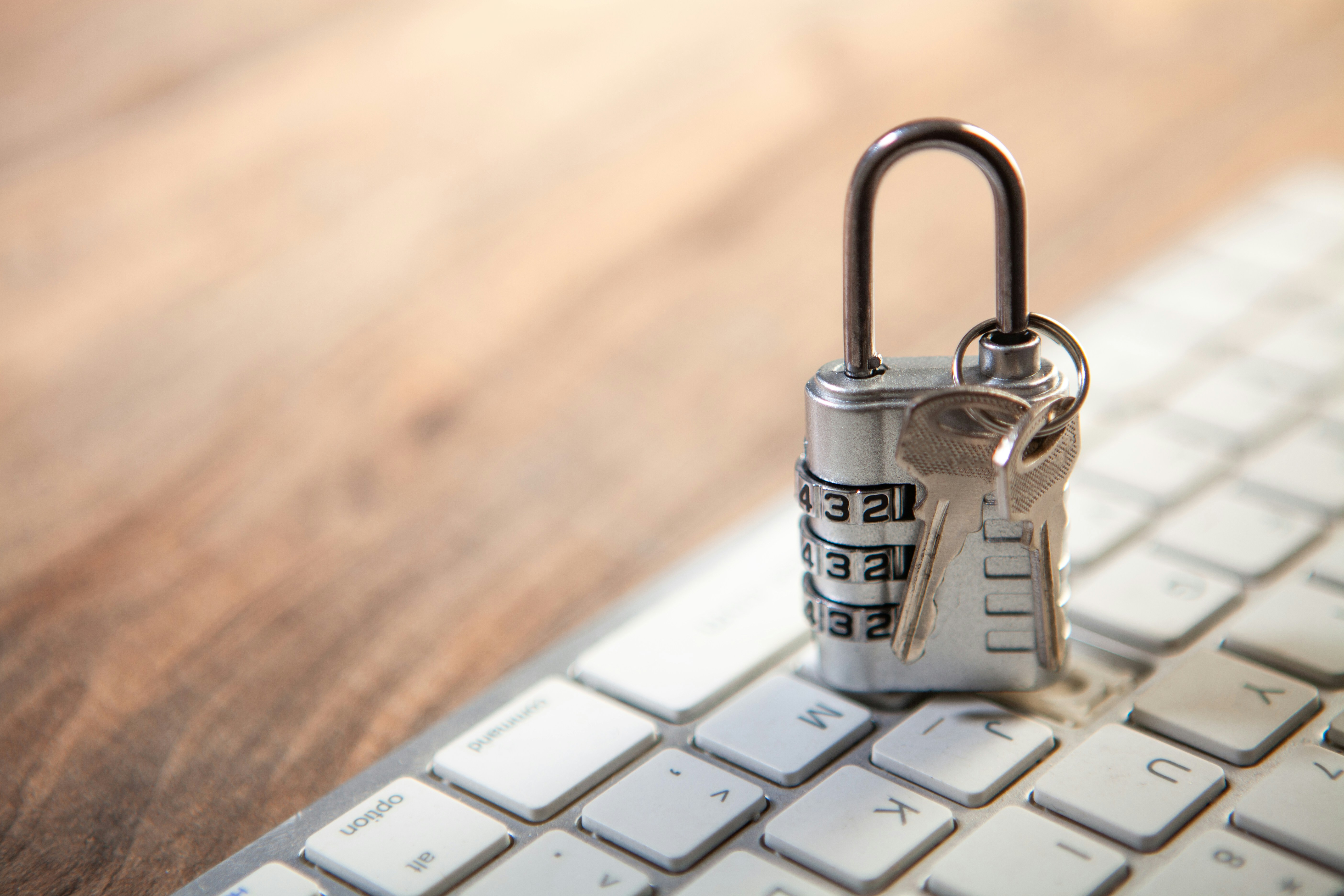 Portal de franquiciados con activos de marca: ¿seguro para datos sensibles?
