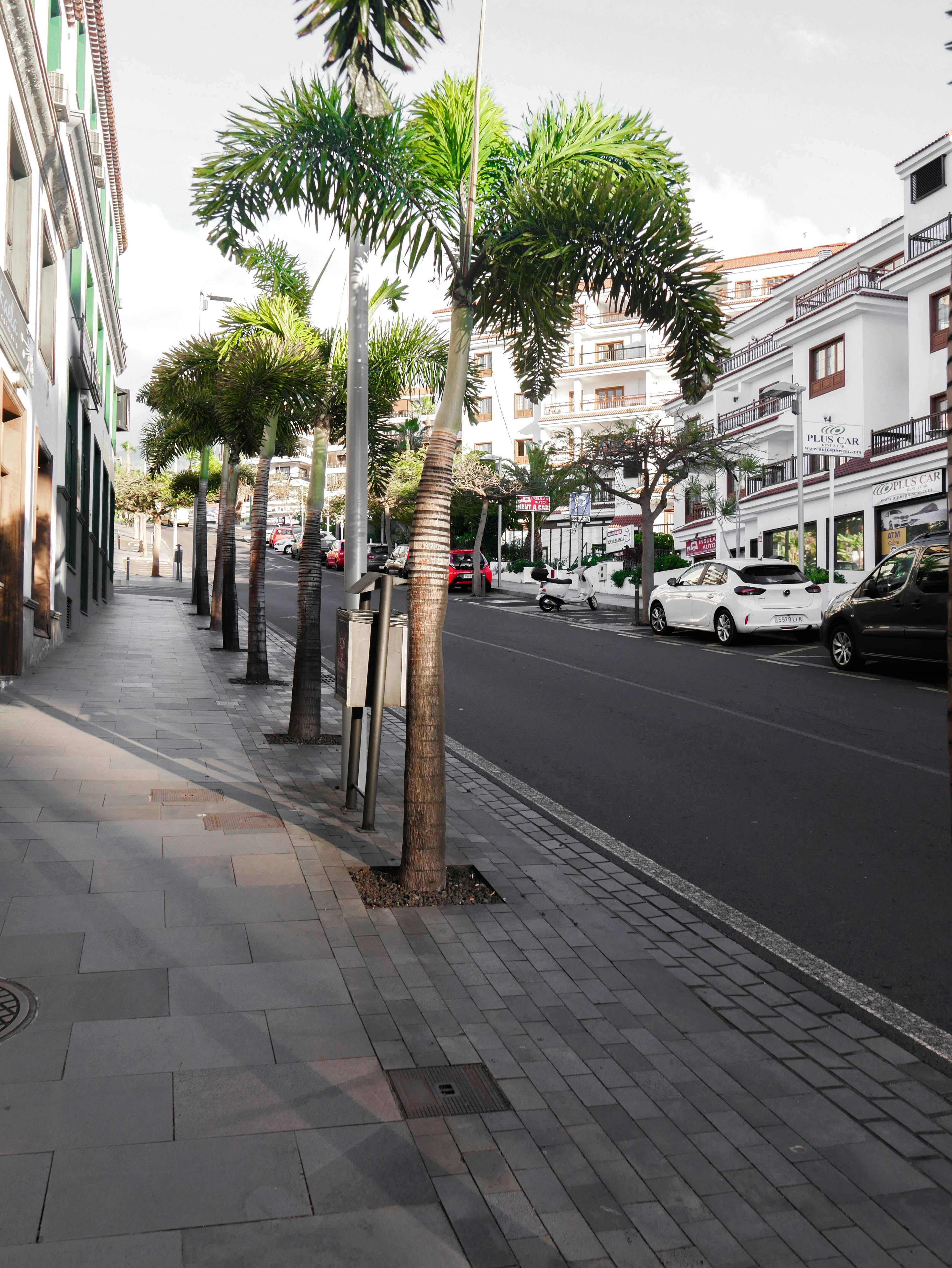 empresa de seguridad de trabajadores agentivos en Santa Cruz de Tenerife
