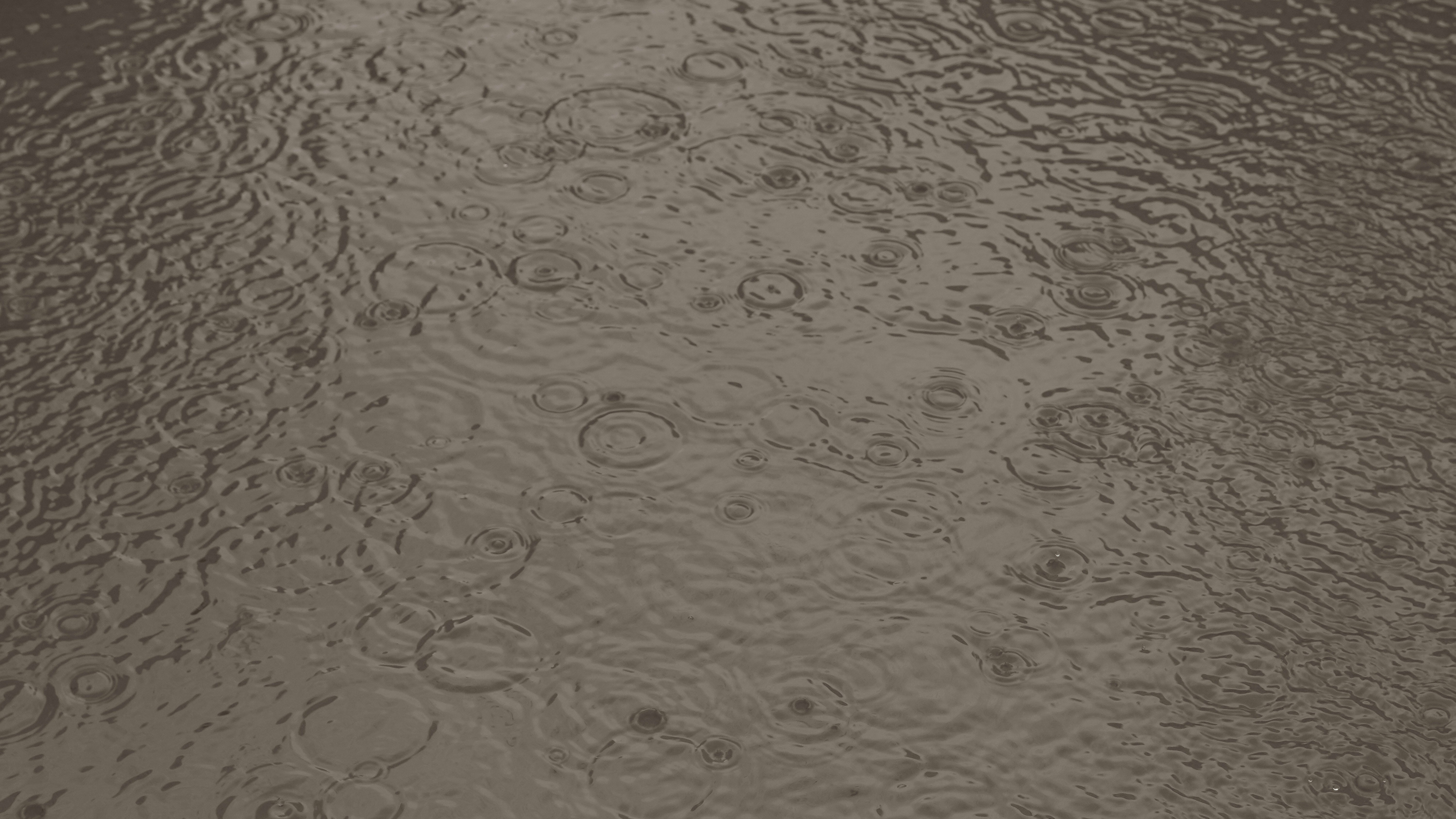 Selección de características guiada por difusión mediante la temperatura de Nishimori: Incrustación espectral basada en ruido