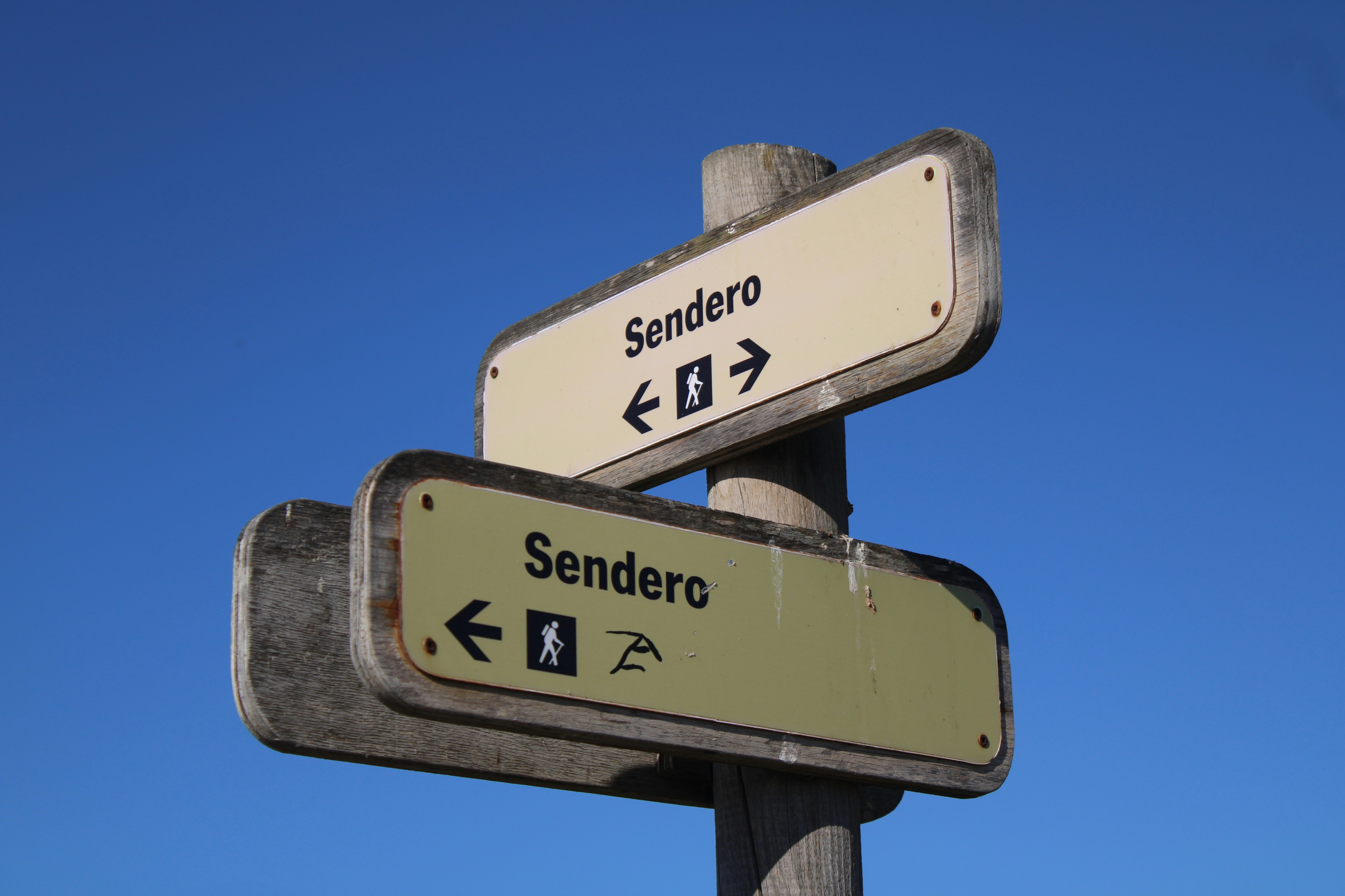 Señales de que es momento de contratar un socio de software a medida