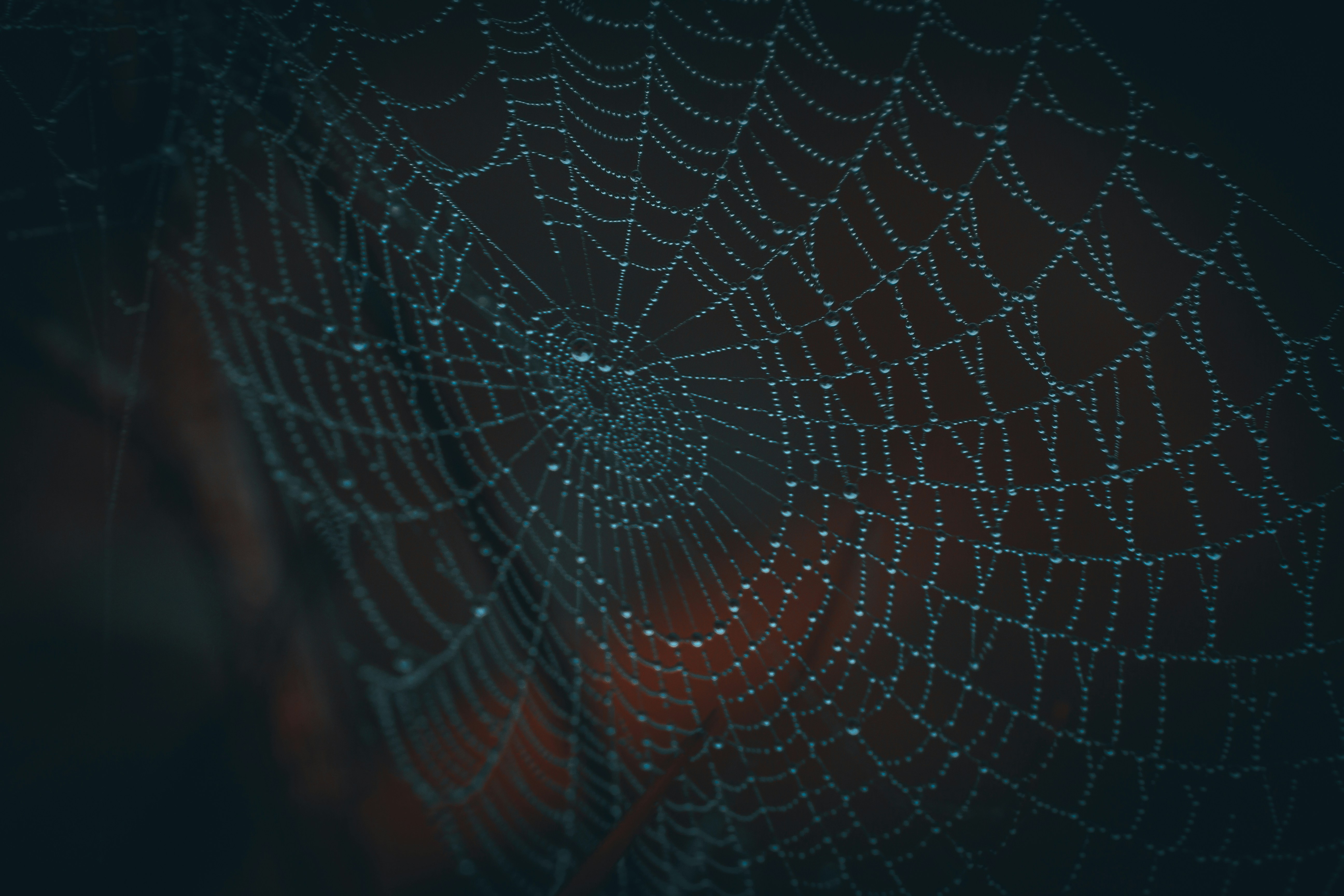 Señales tempranas de ataques a la cadena de suministro en la Dark Web