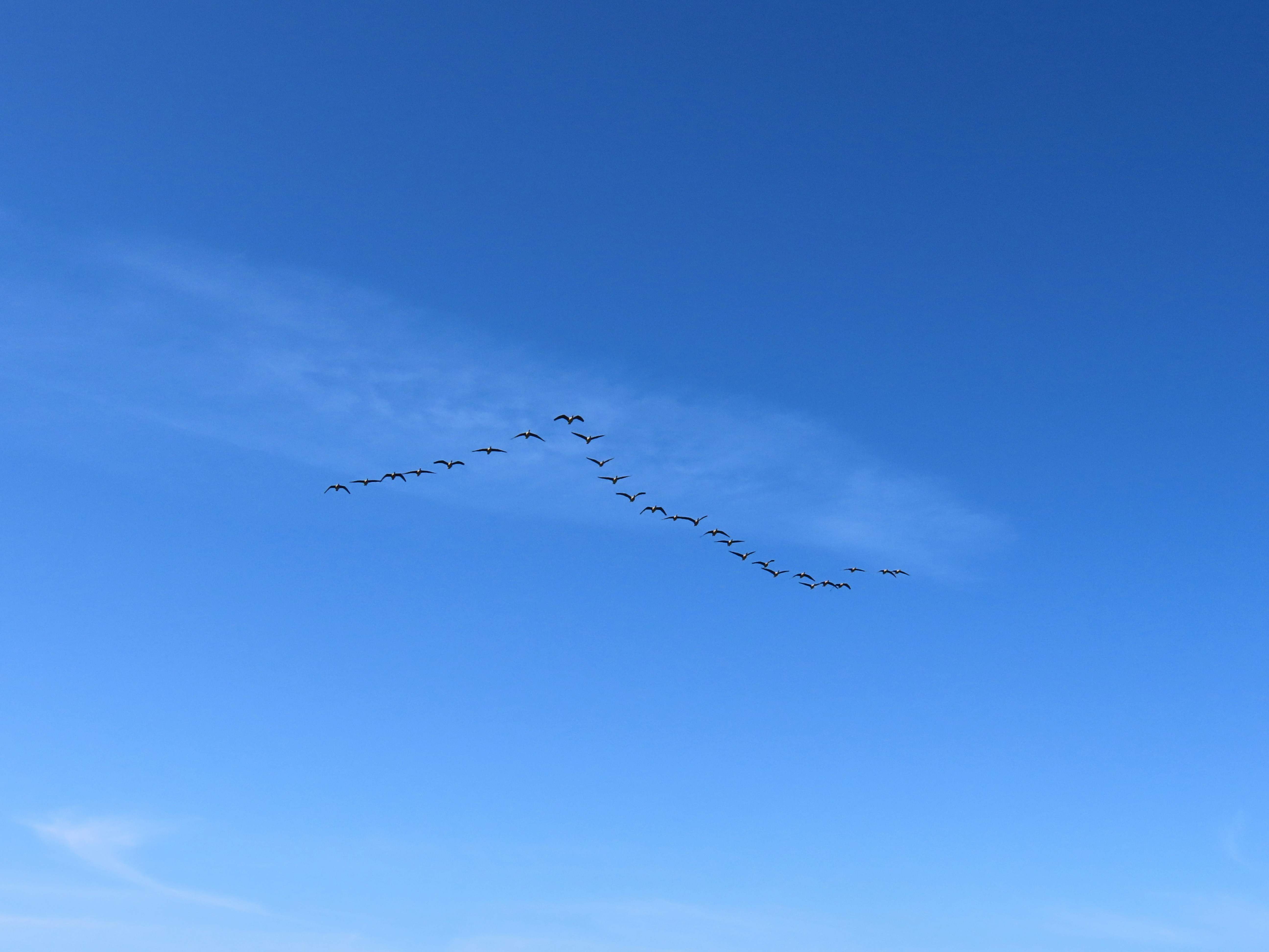 ¿Los servicios de migración a la nube de Azure para empresas admiten entornos en la nube?