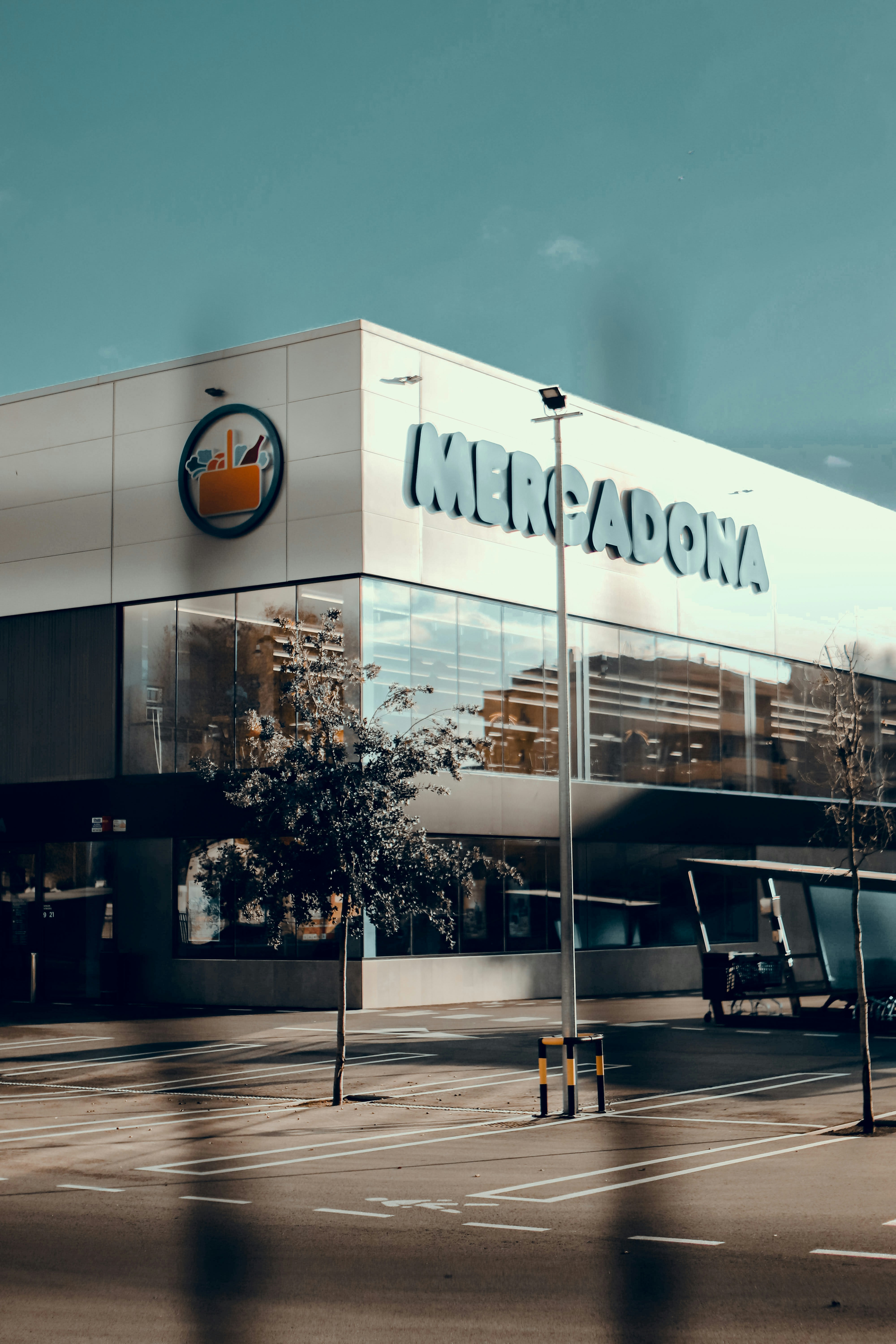 Servicios de inteligencia artificial en Villamediana de Iregua