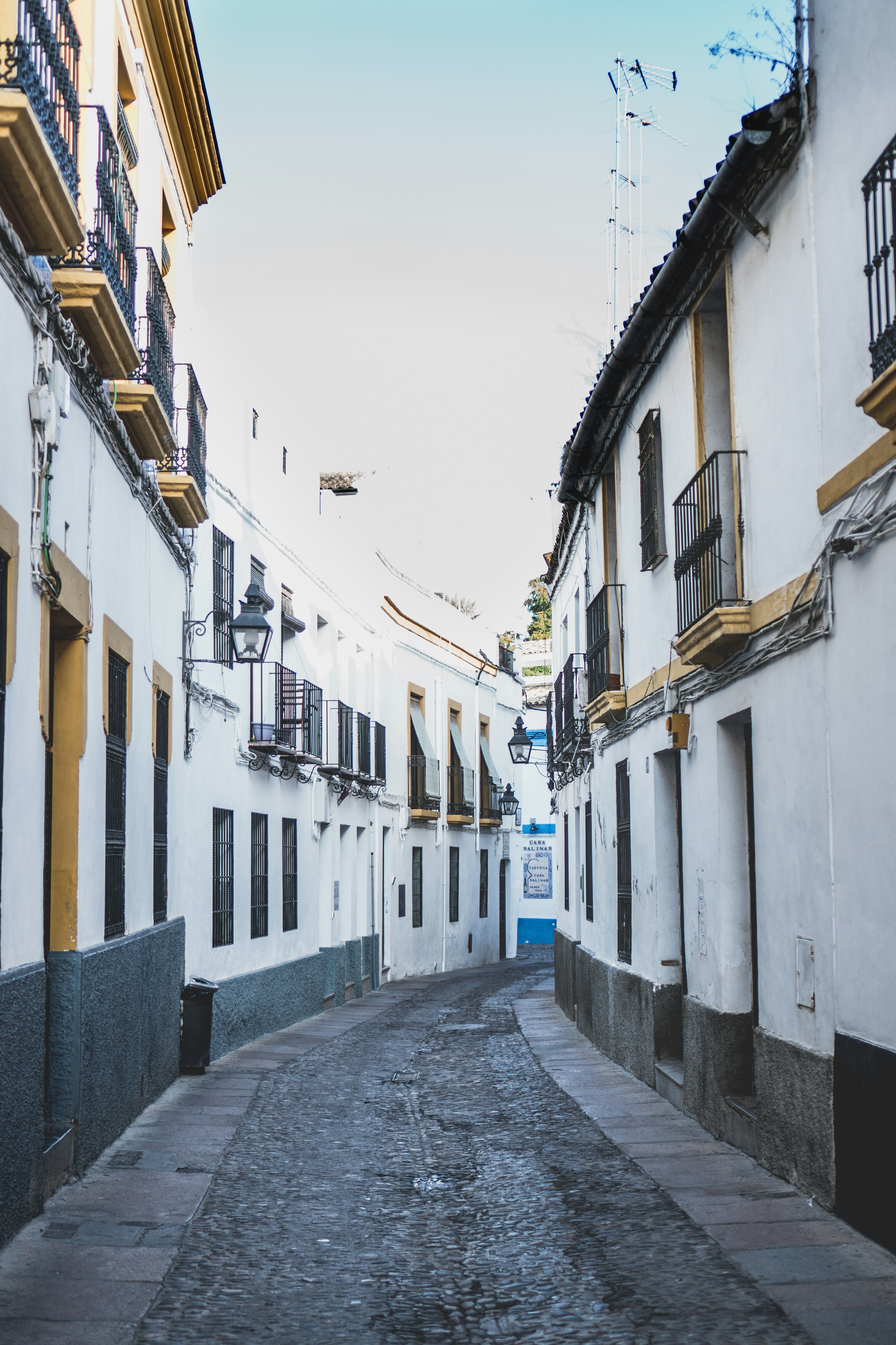Servicios profesionales de agencia de desarrollo de IA en Córdoba