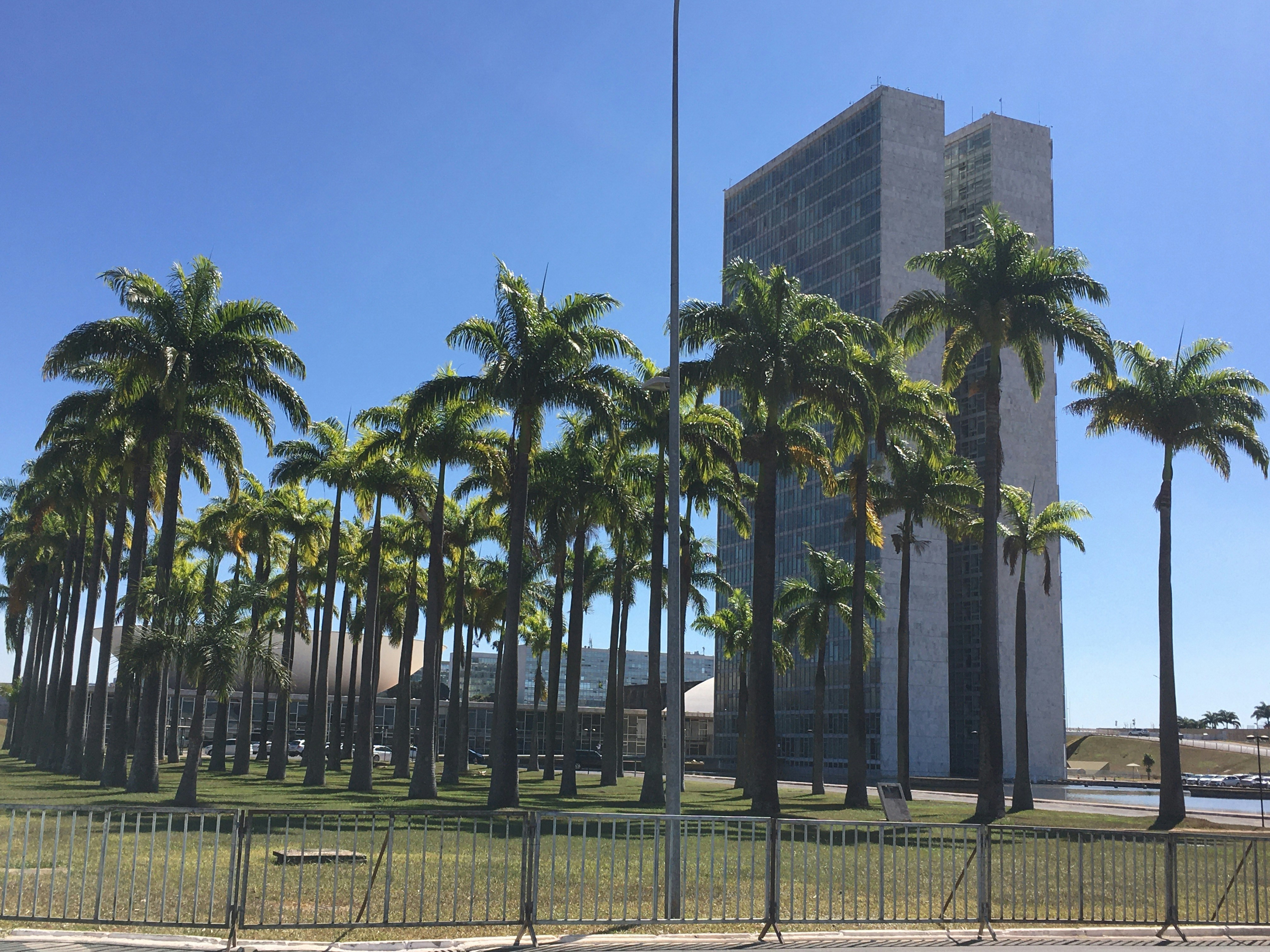 PALMS: Una Implementación Computacional para la Simulación de Modelos de Aprendizaje Asociativo Pavloviano