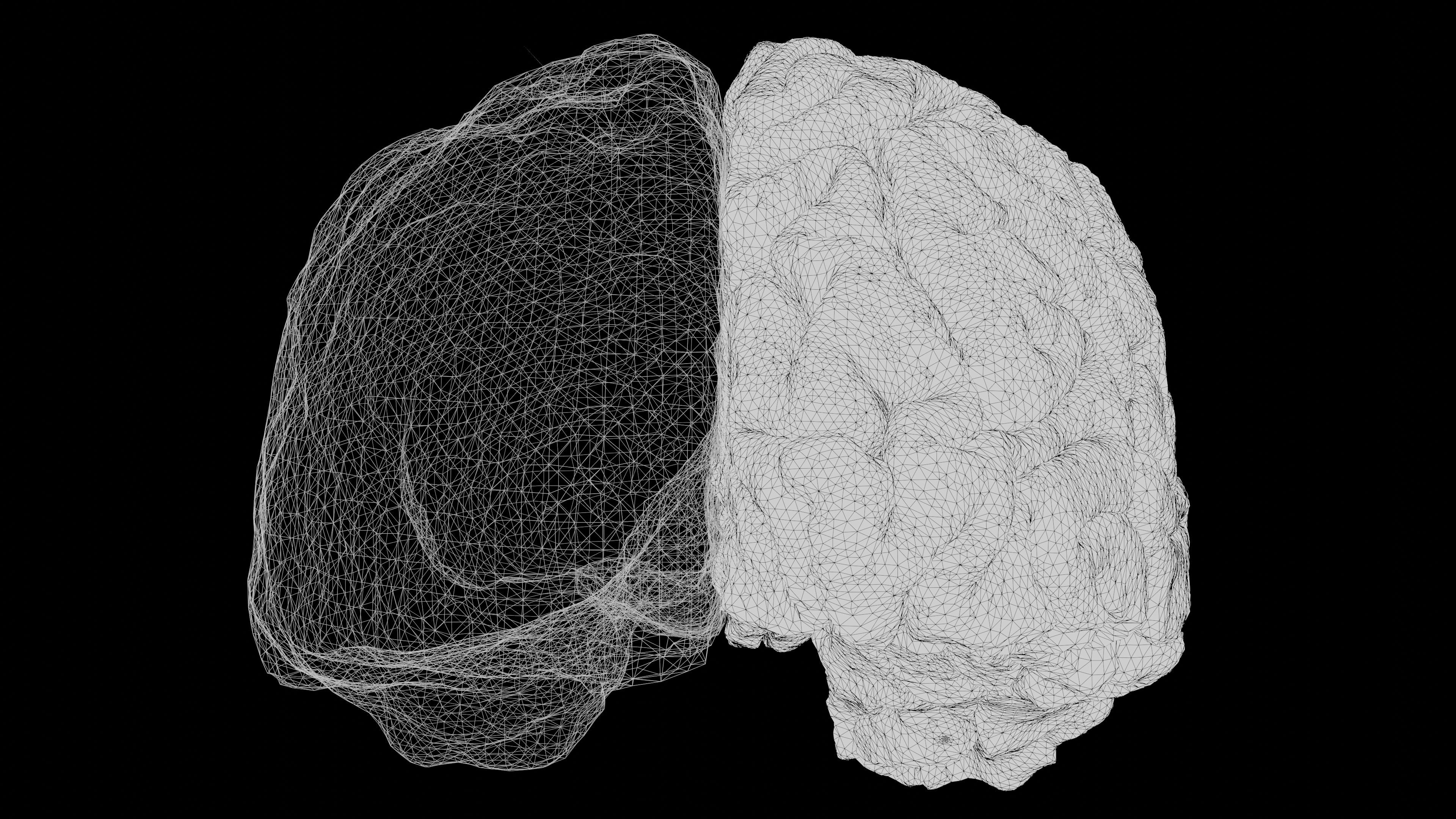 Simulación neuronal de EDP Posterior-Primero: Inferir el estado oculto del problema a partir de un solo campo