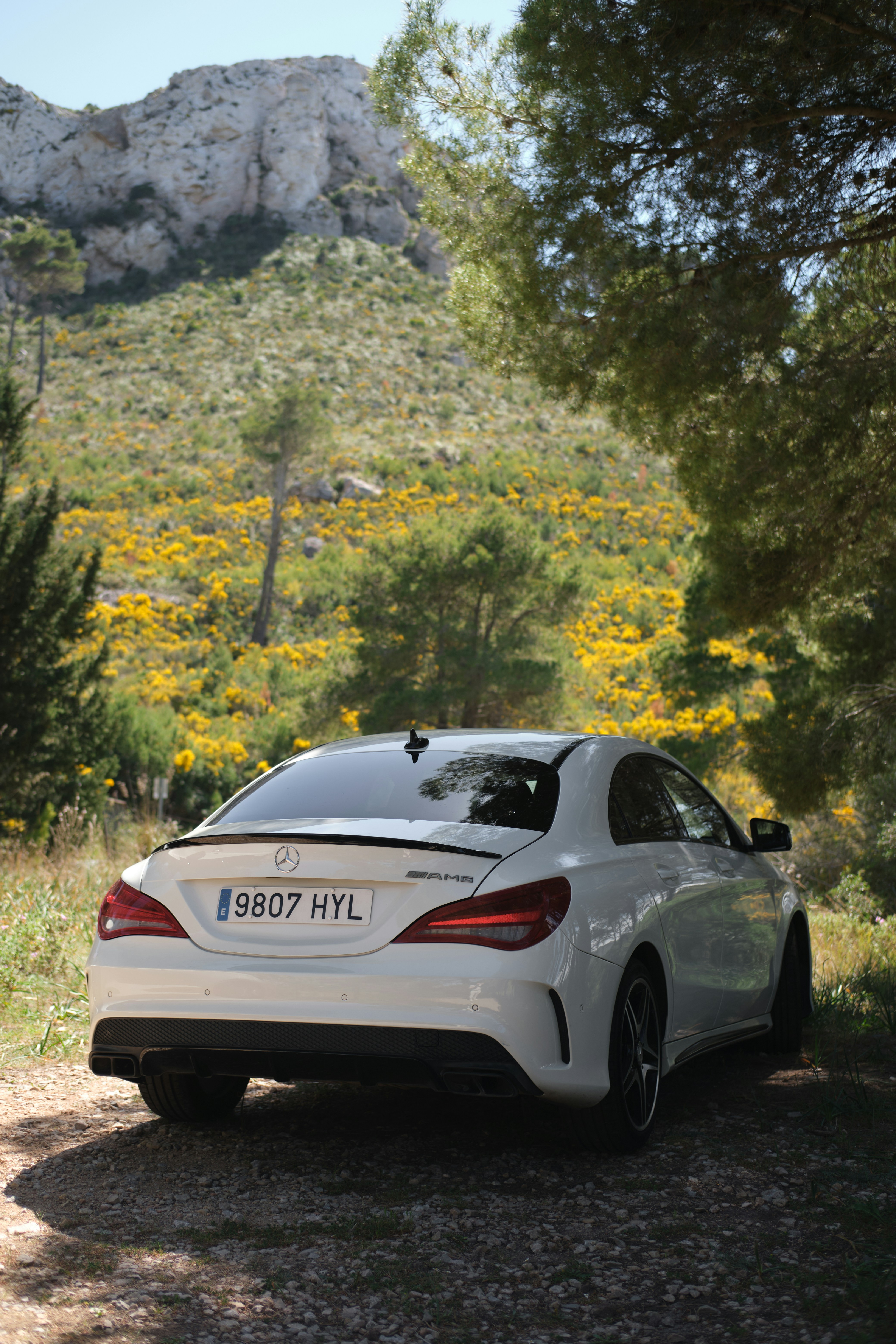 El volante de alineación: Un MAS híbrido centrado en la gobernanza para la seguridad independiente de la arquitectura