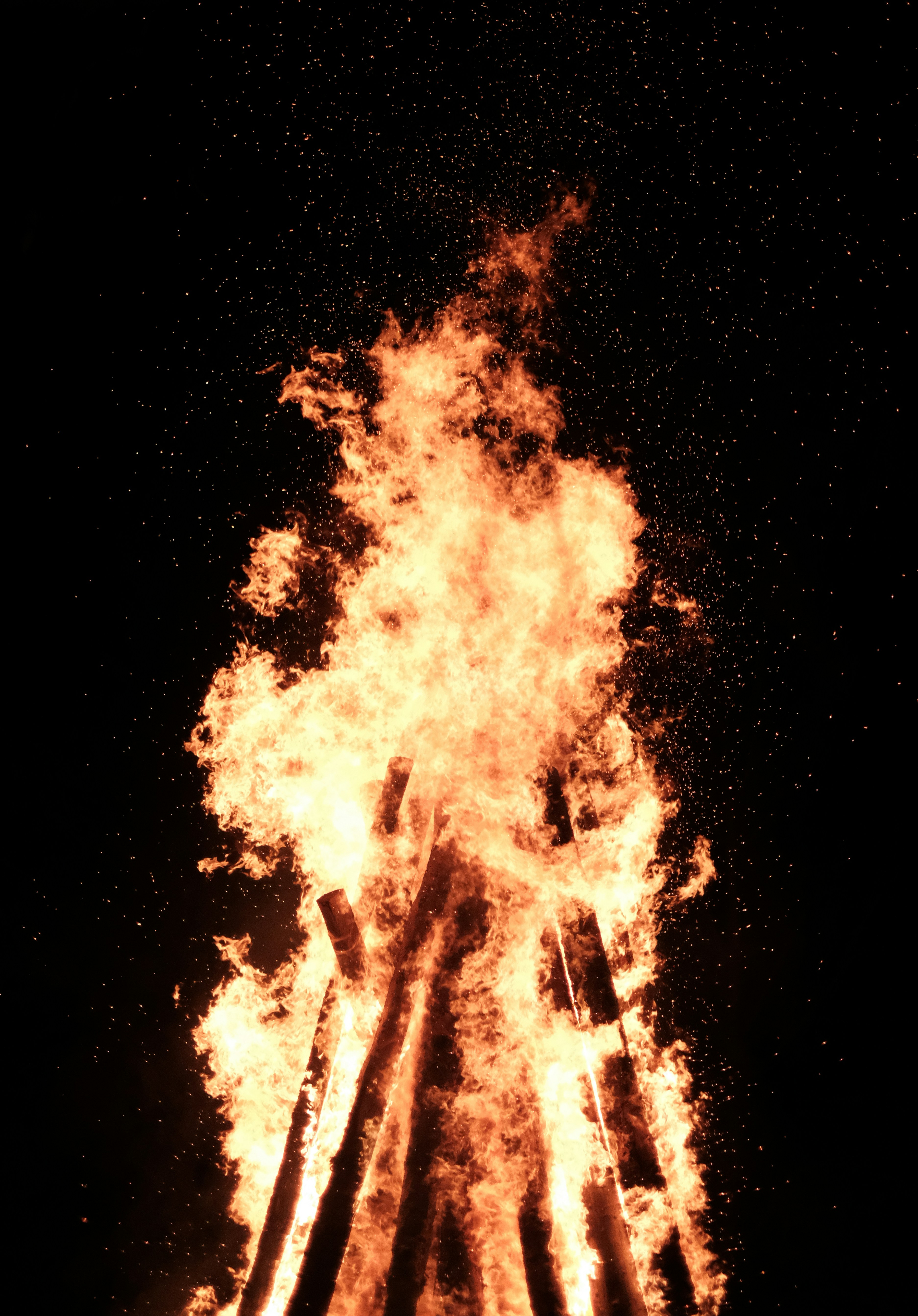 Sesiones Bonfire: Nueva página de detalles de la aplicación de Snuky