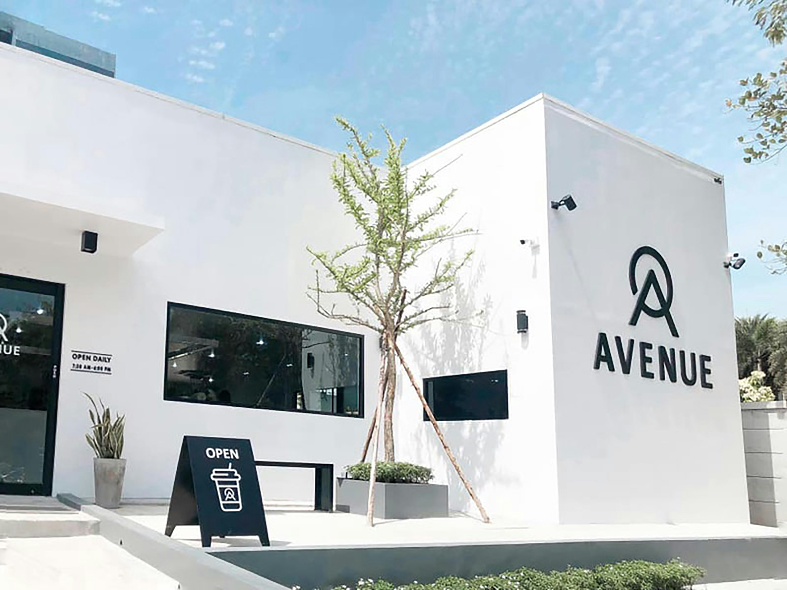 Socio oficial de la AGENCIA de IA en Avilés - Más de 15 años de experiencia