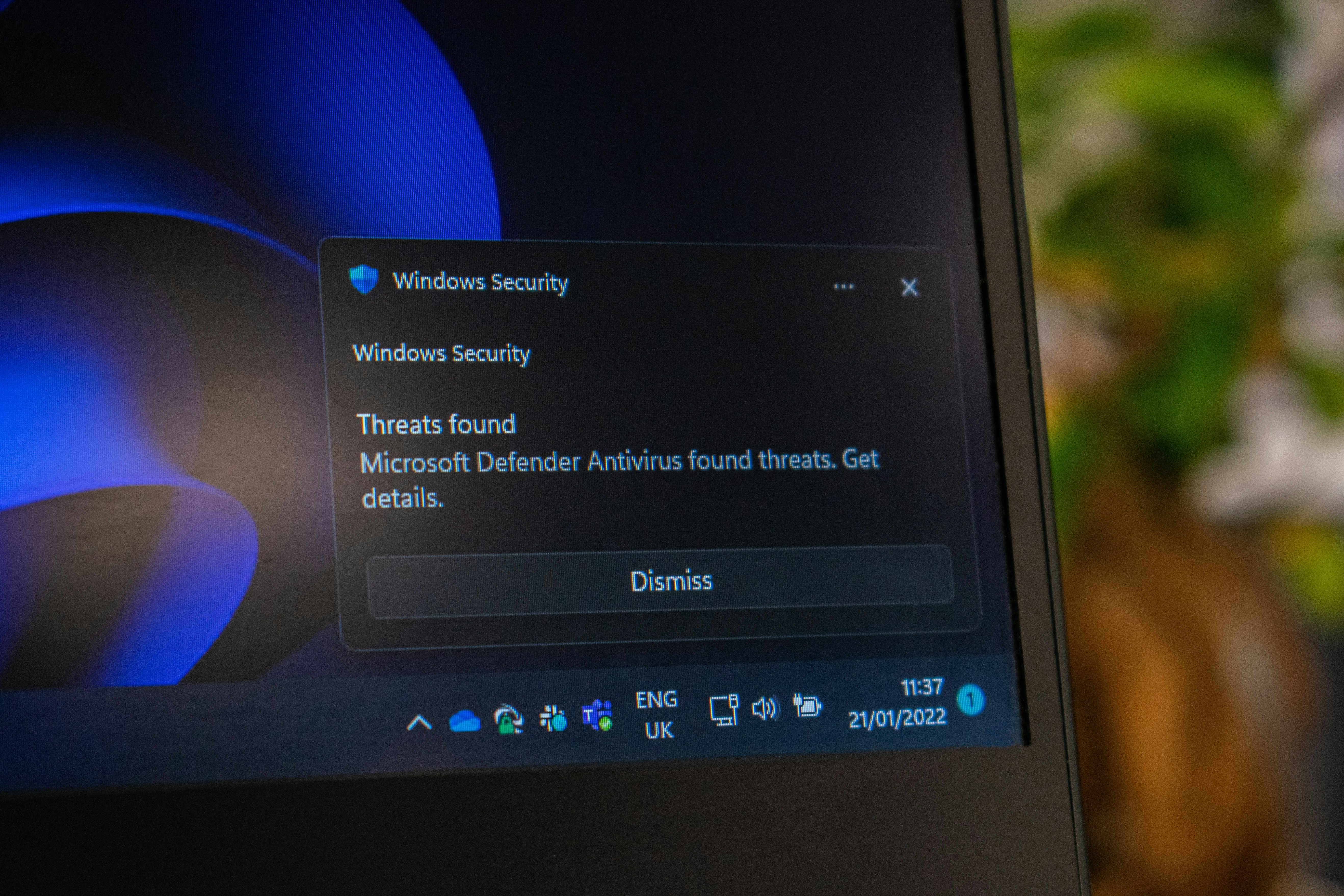 Socio oficial de reemplazo de aplicación de escritorio de Windows por web en Málaga - Más de 15 años de experiencia 2026