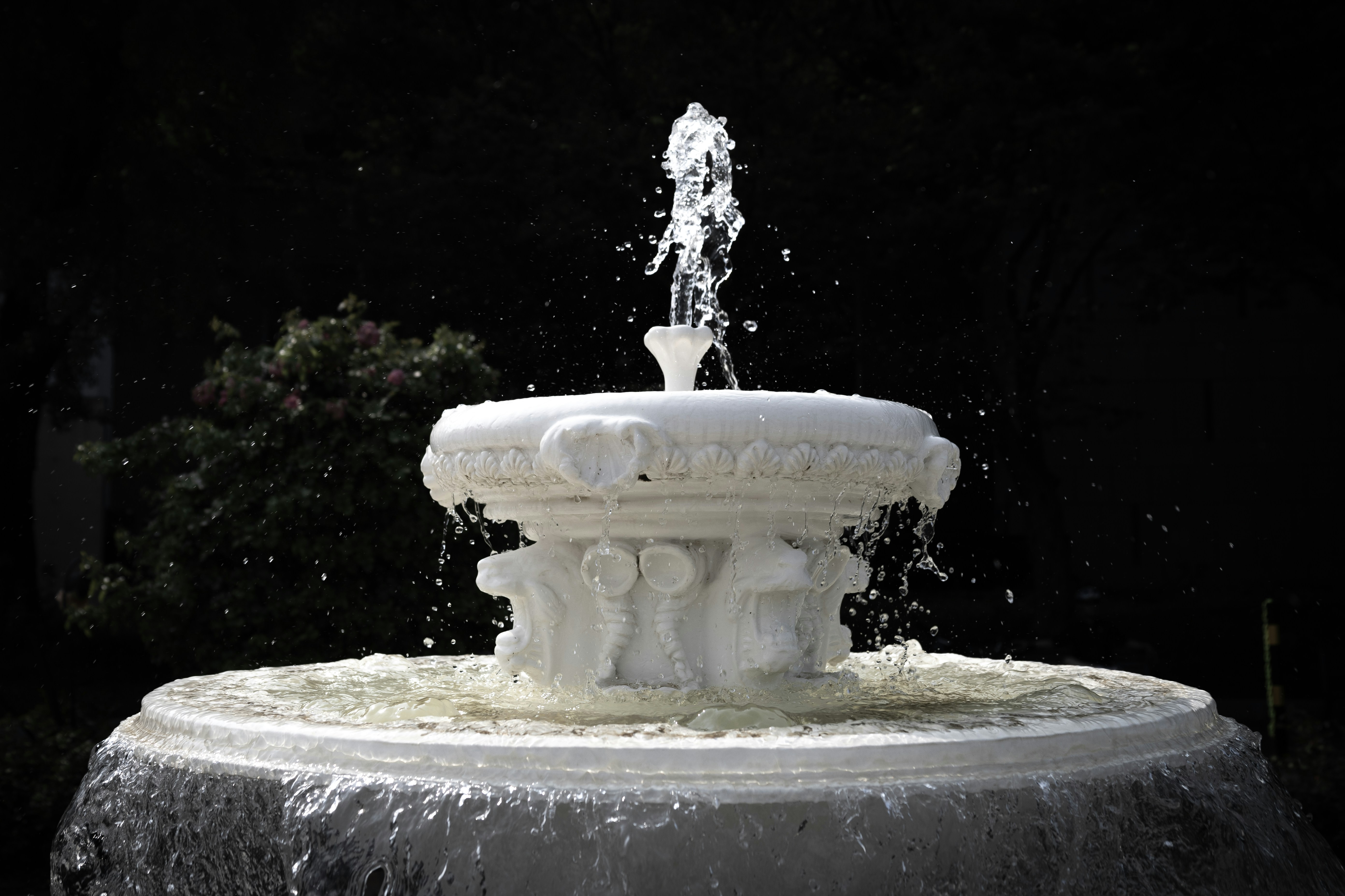 Socio oficial de software de gestión de negocios de fontanería en Valencia - Más de 15 años de experiencia