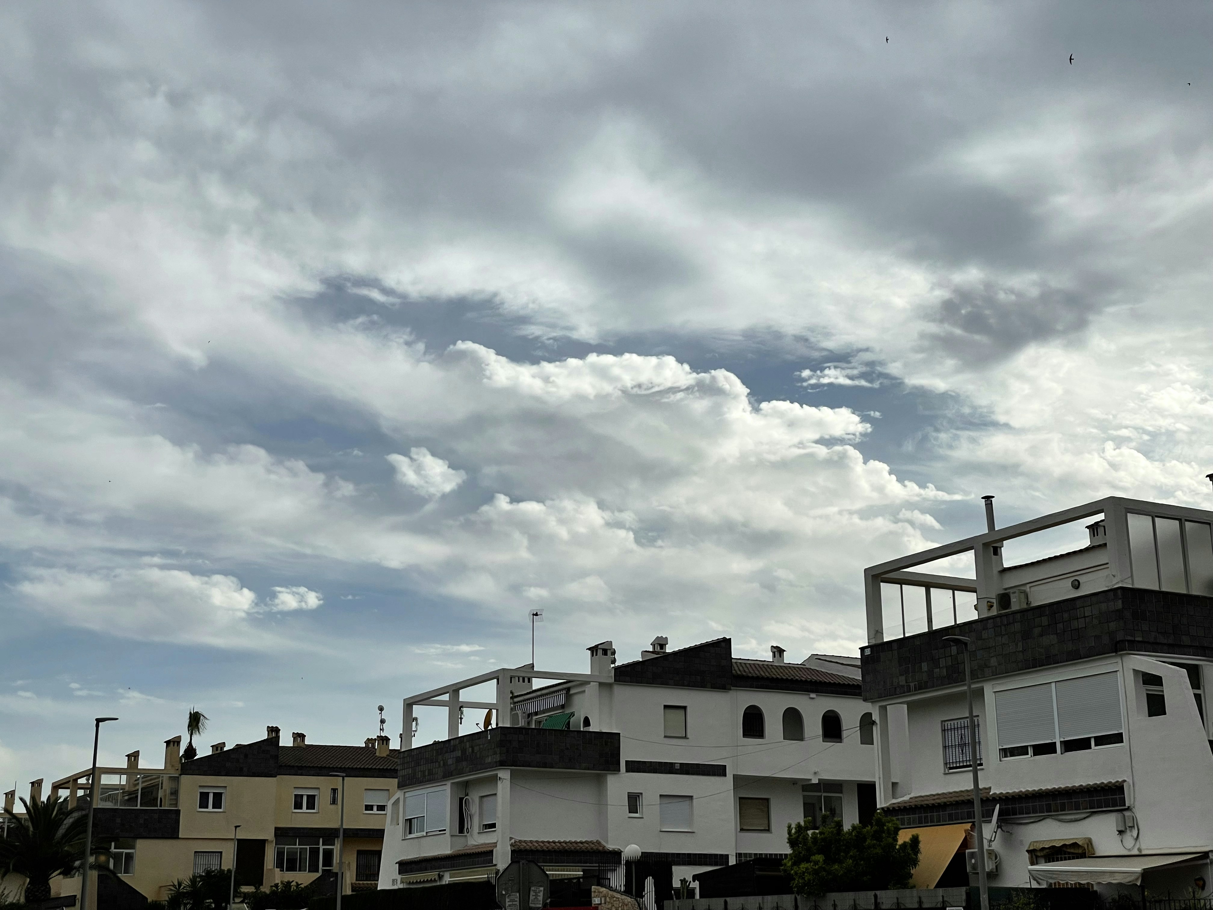 Software en Torrevieja