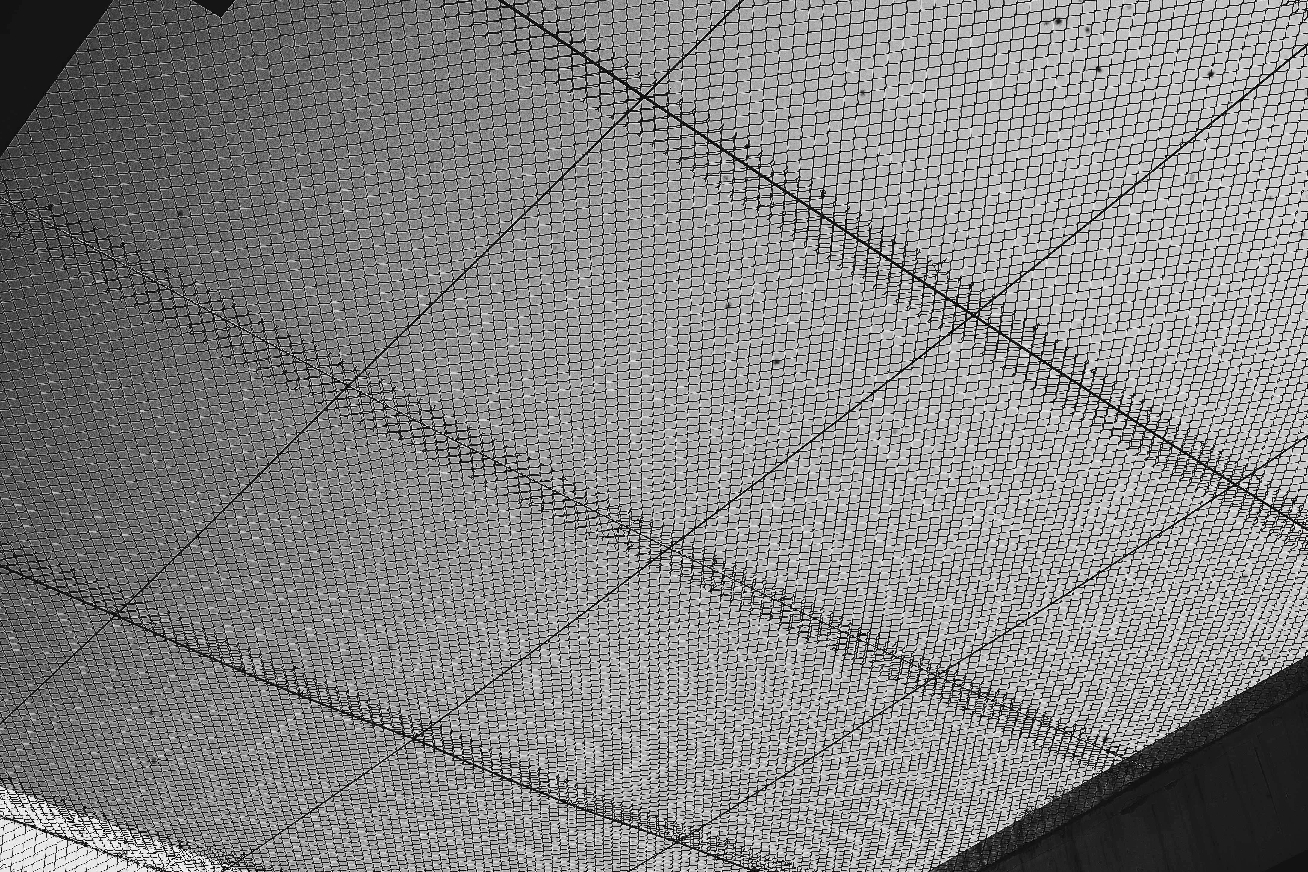 ¿Está disponible el software de control de plagas en varios idiomas?
