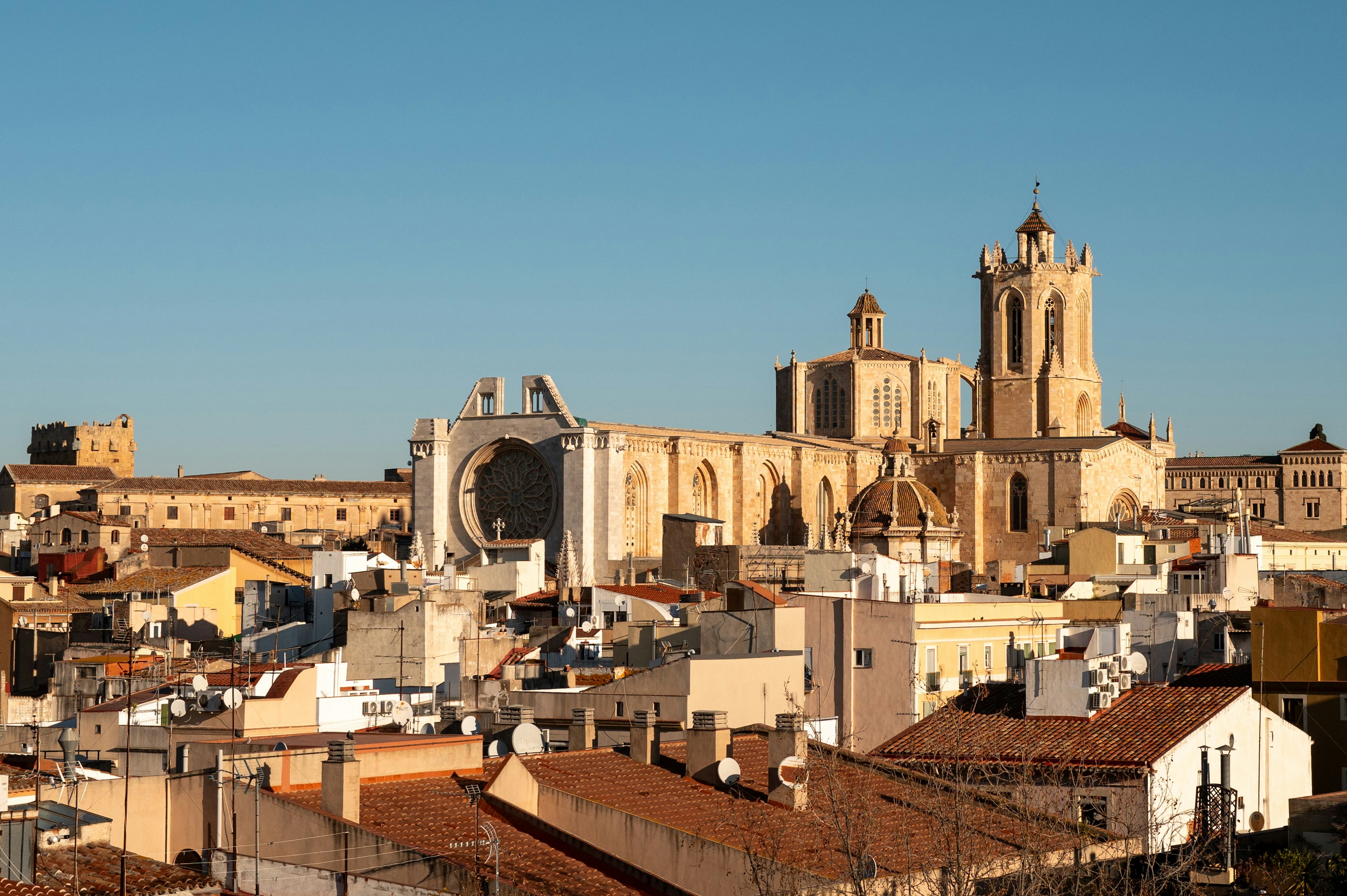 Servicios profesionales de software empresarial en Tarragona