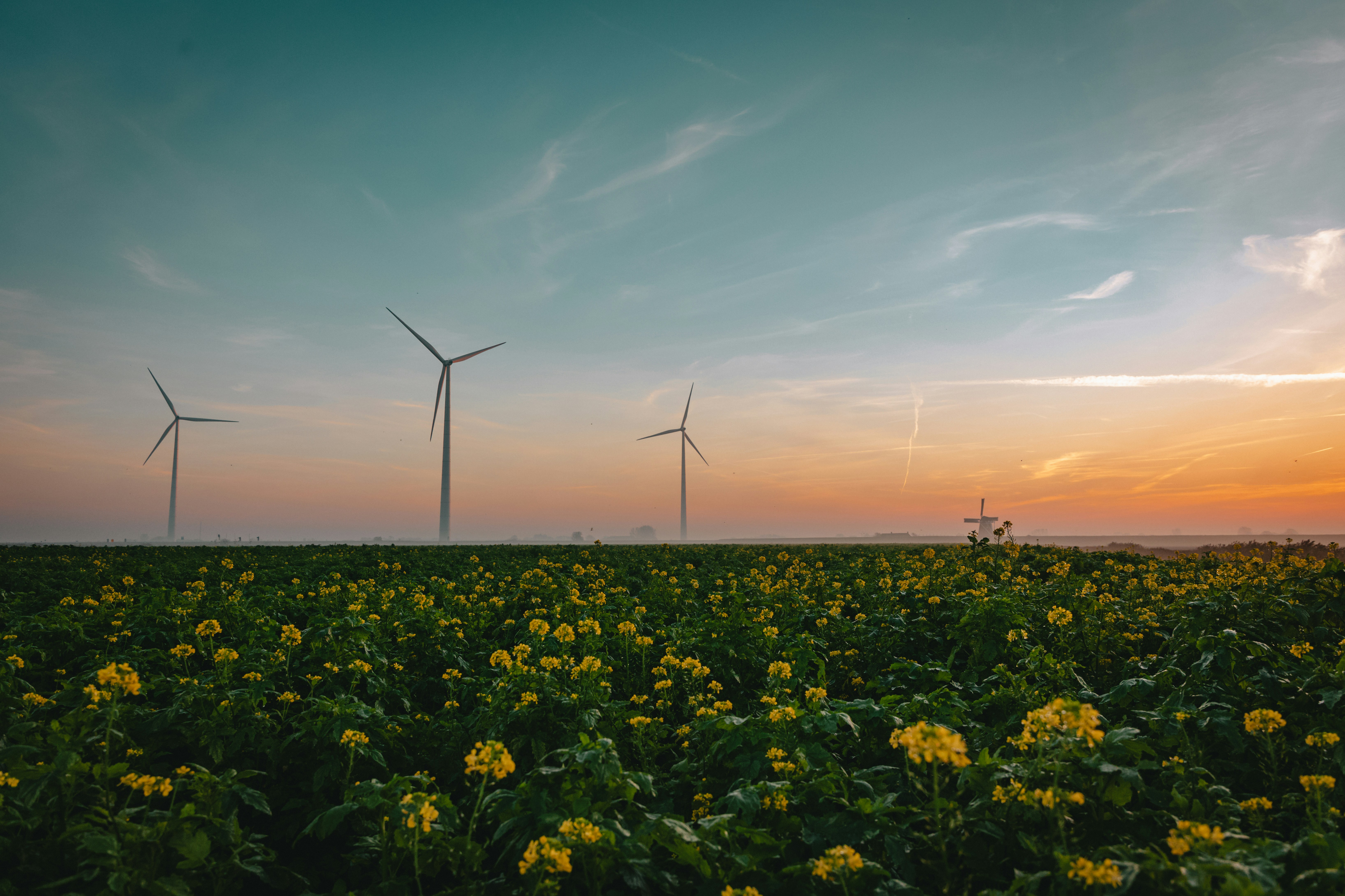 ¿Apoya el software a medida para operaciones la transformación ecológica?