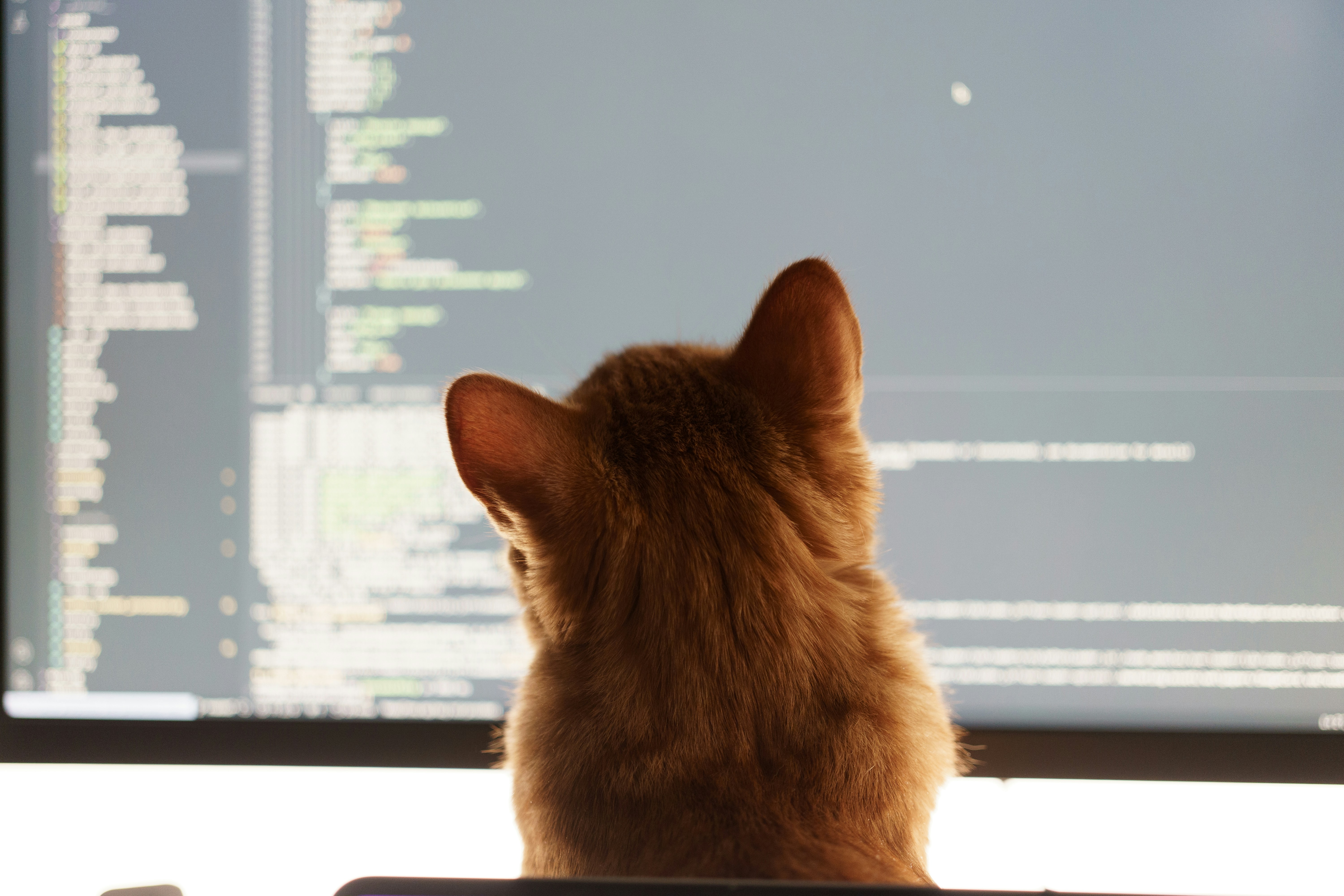 ¿Quién ofrece desarrollo de software a medida con soporte postventa?