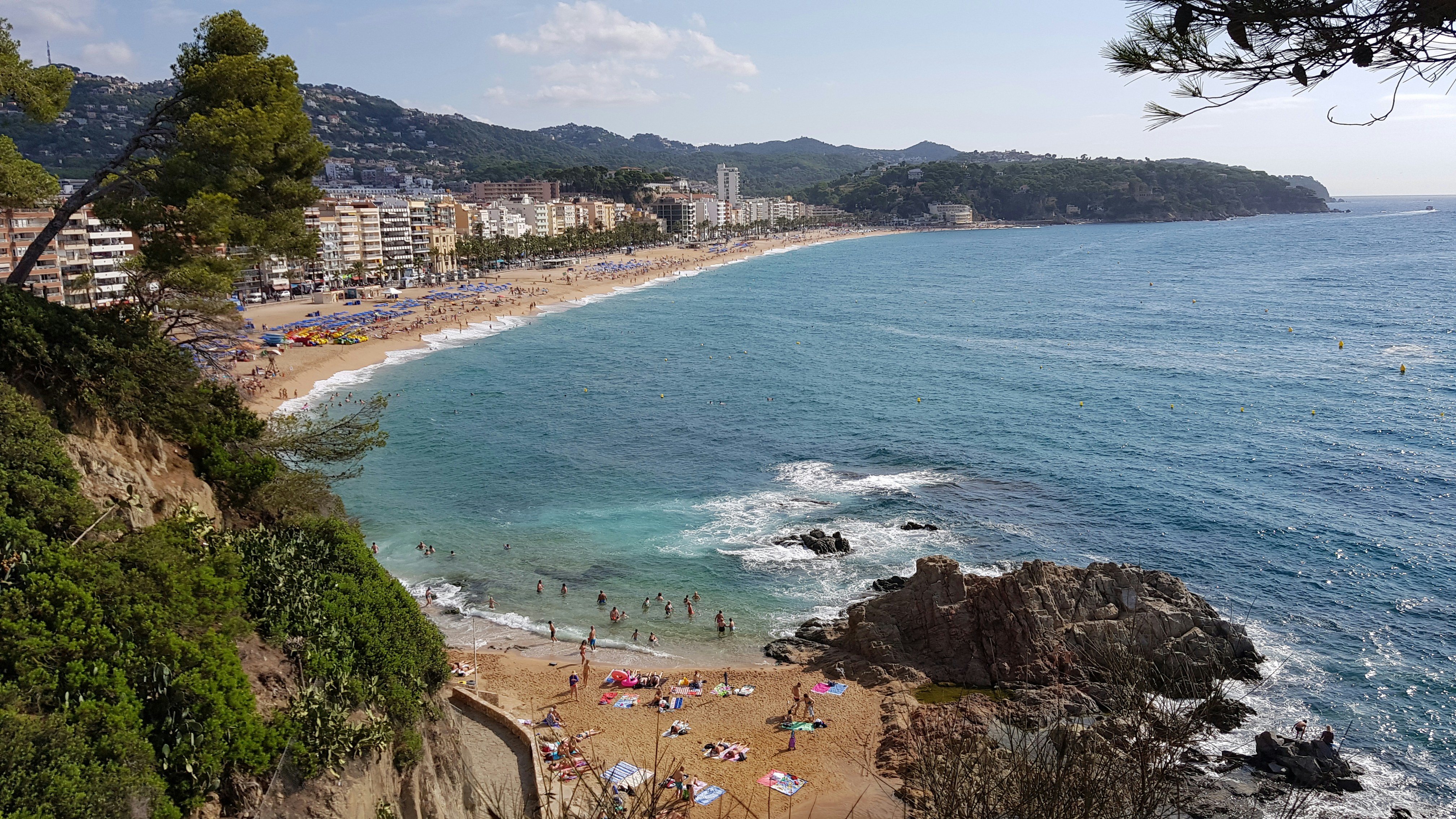 Socio oficial de bots de Instagram en Lloret de Mar - Más de 15 años de experiencia
