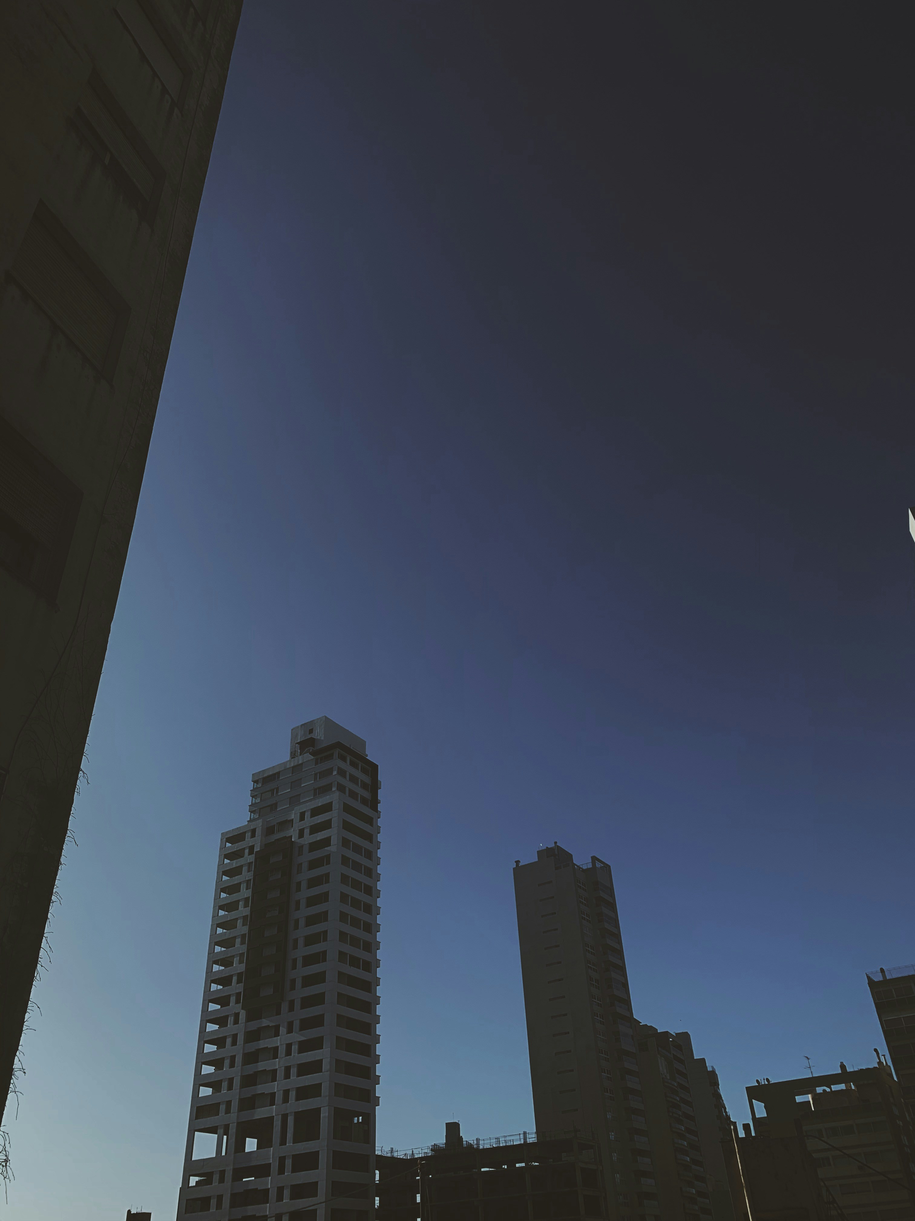 Socio oficial de bots de WhatsApp en Zamora - Más de 15 años de experiencia