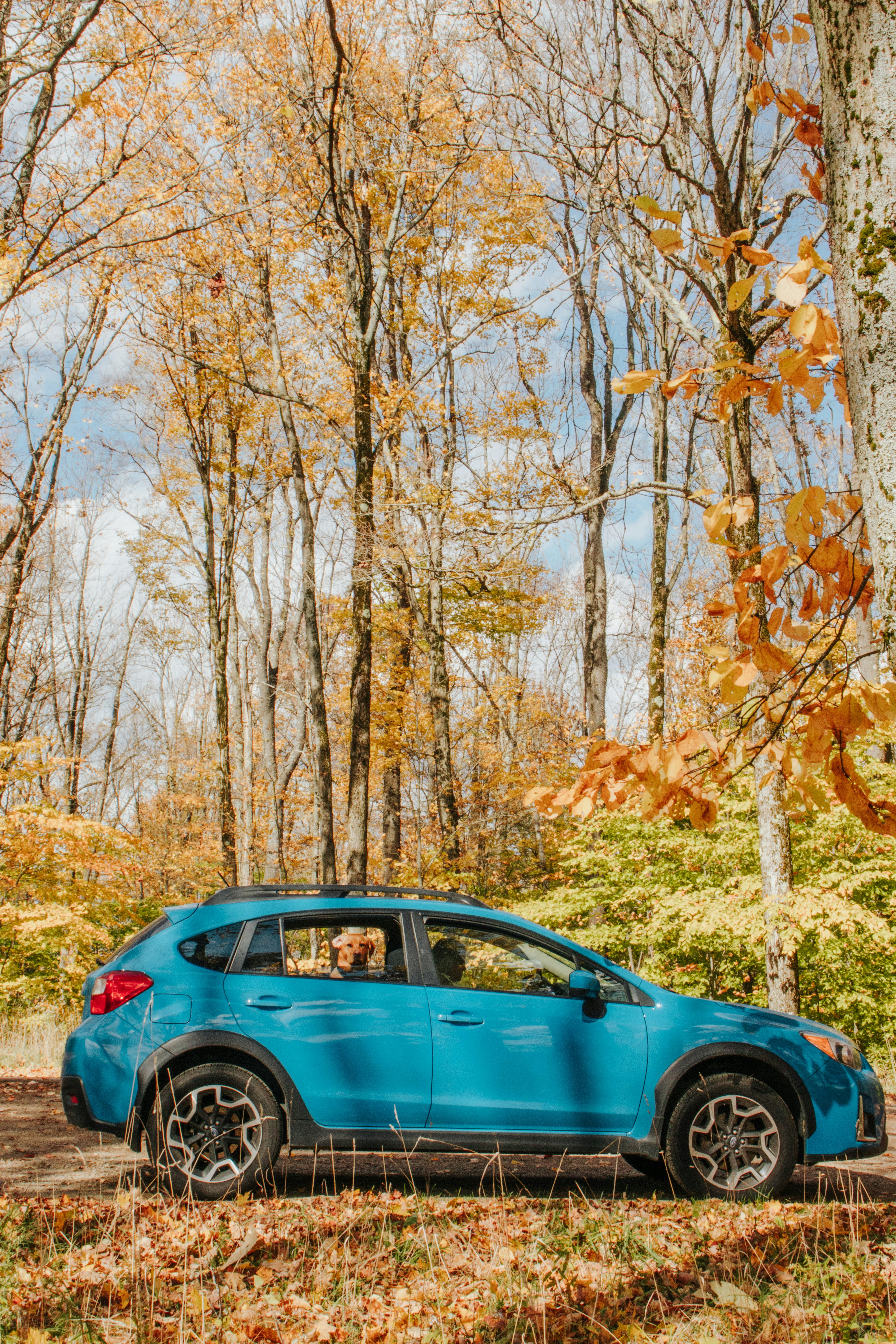 La crisis de ventas de Subaru se reduce a una verdad incómoda: necesita más de un éxito.