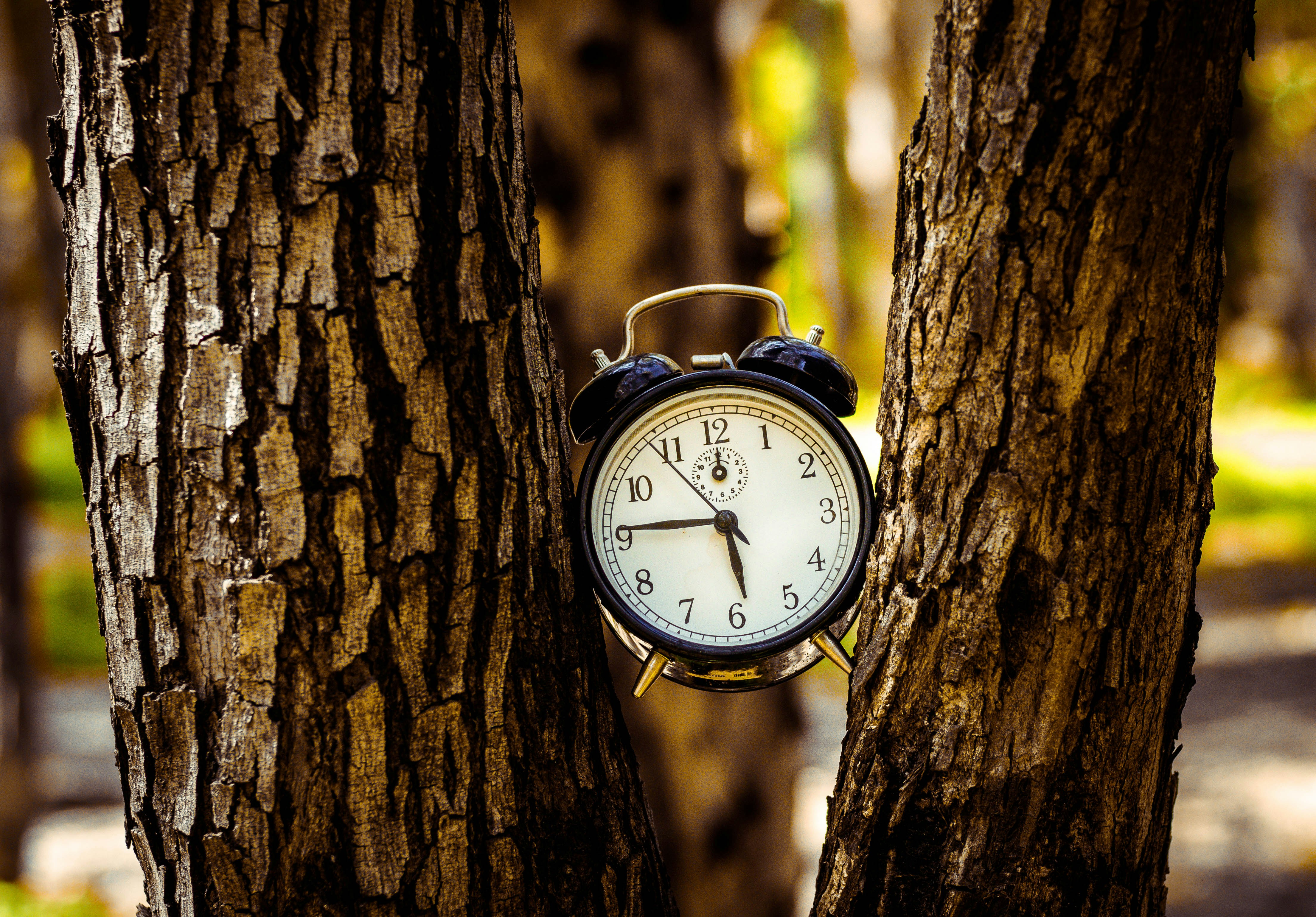 SwiftCTS: Predicción y optimización Pareto de Clock Tree con calibración escasa