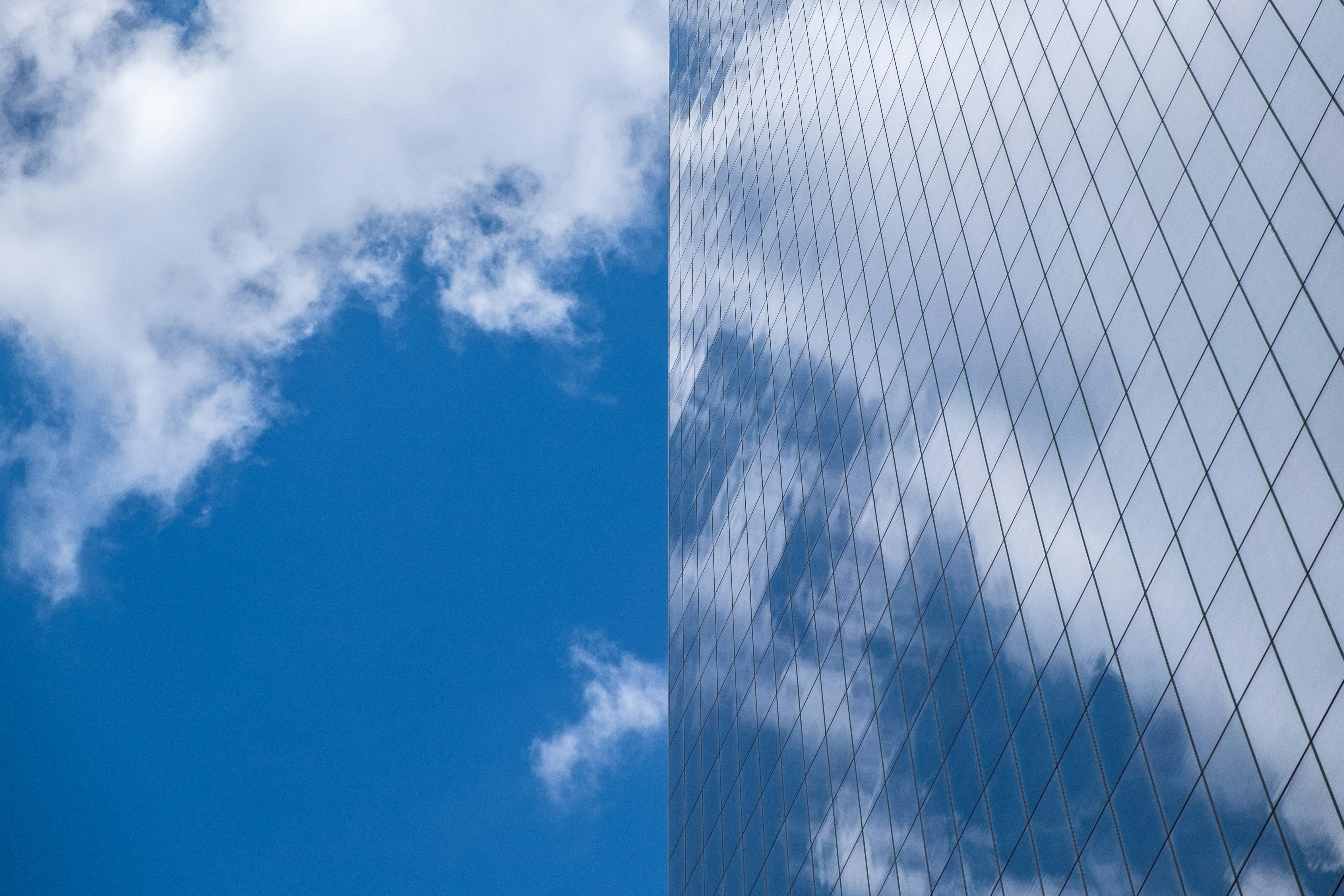 Tally en local vs Tally en la nube: ¿cuál es el correcto para tu empresa?