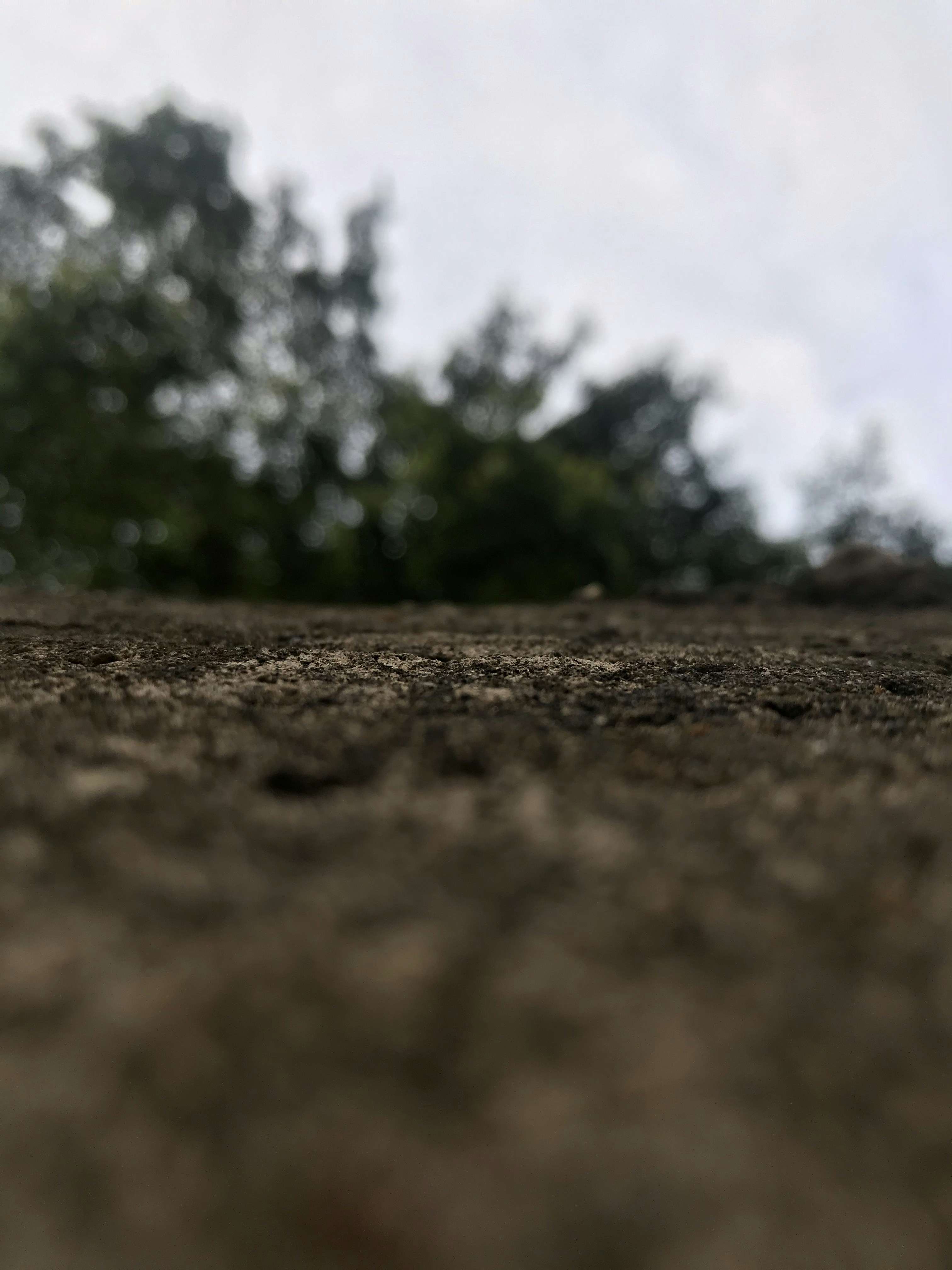 Puede Formar el Terreno Fuera de la Tierra?