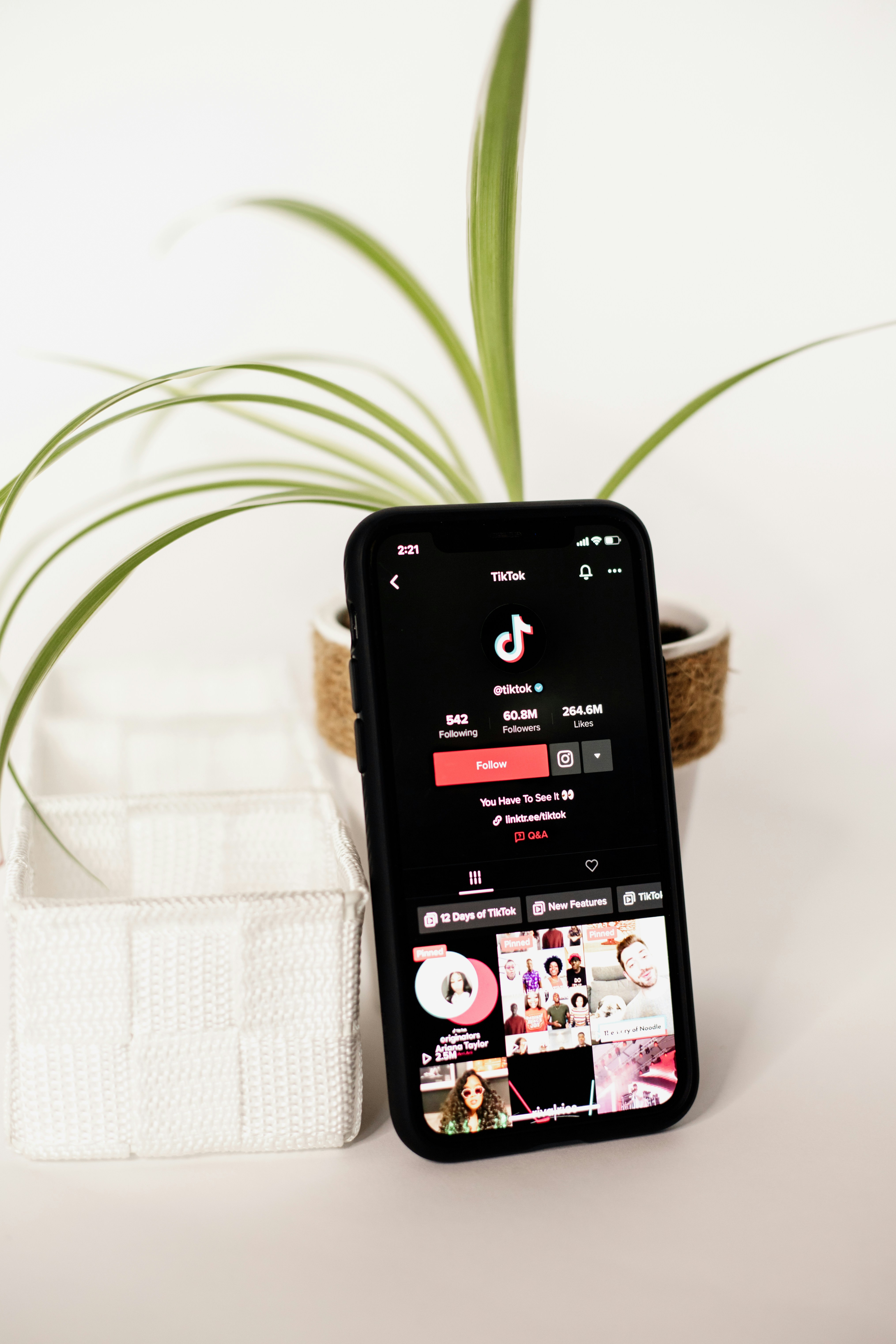 TikTok lanza TikTok Pro Events: ¿la app que nadie usará?