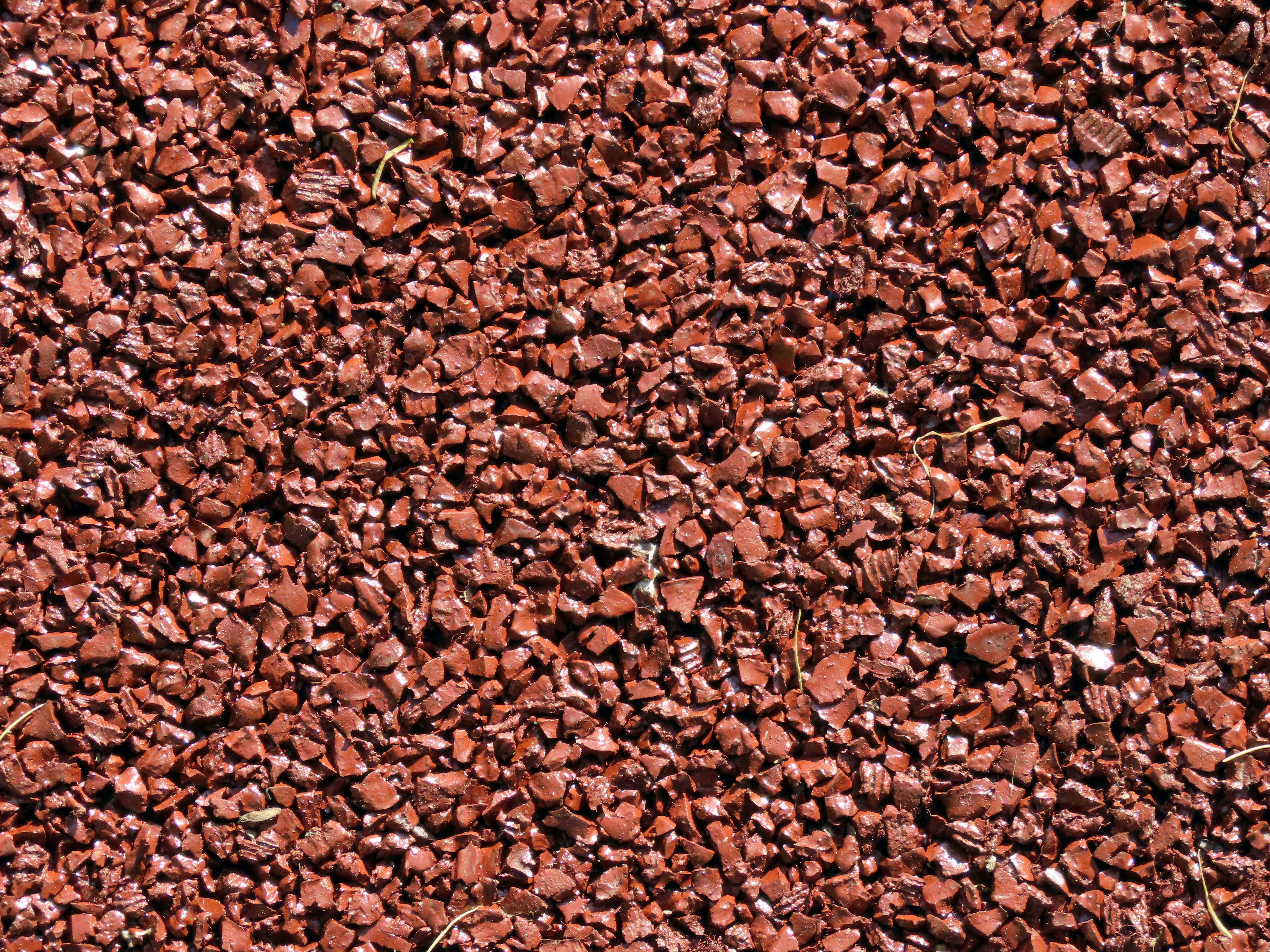 Billionario Tim Draper lidera ronda de financiación de serie A por valor de $3.2M para Ryder, con el objetivo de reemplazar las frases clave por TapSafe