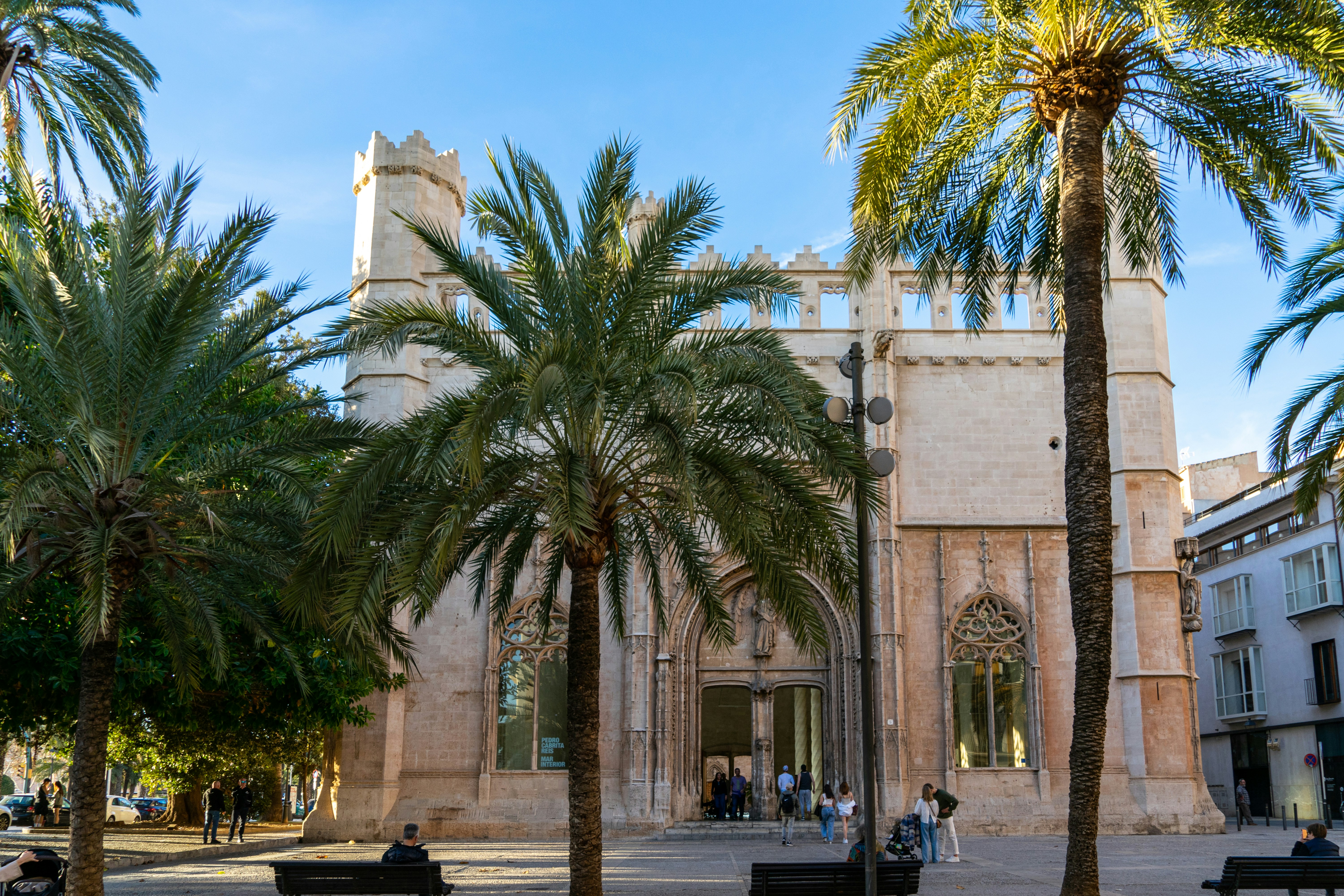 Los 10 mejores expertos en desarrollo de aplicaciones con IA en Palma