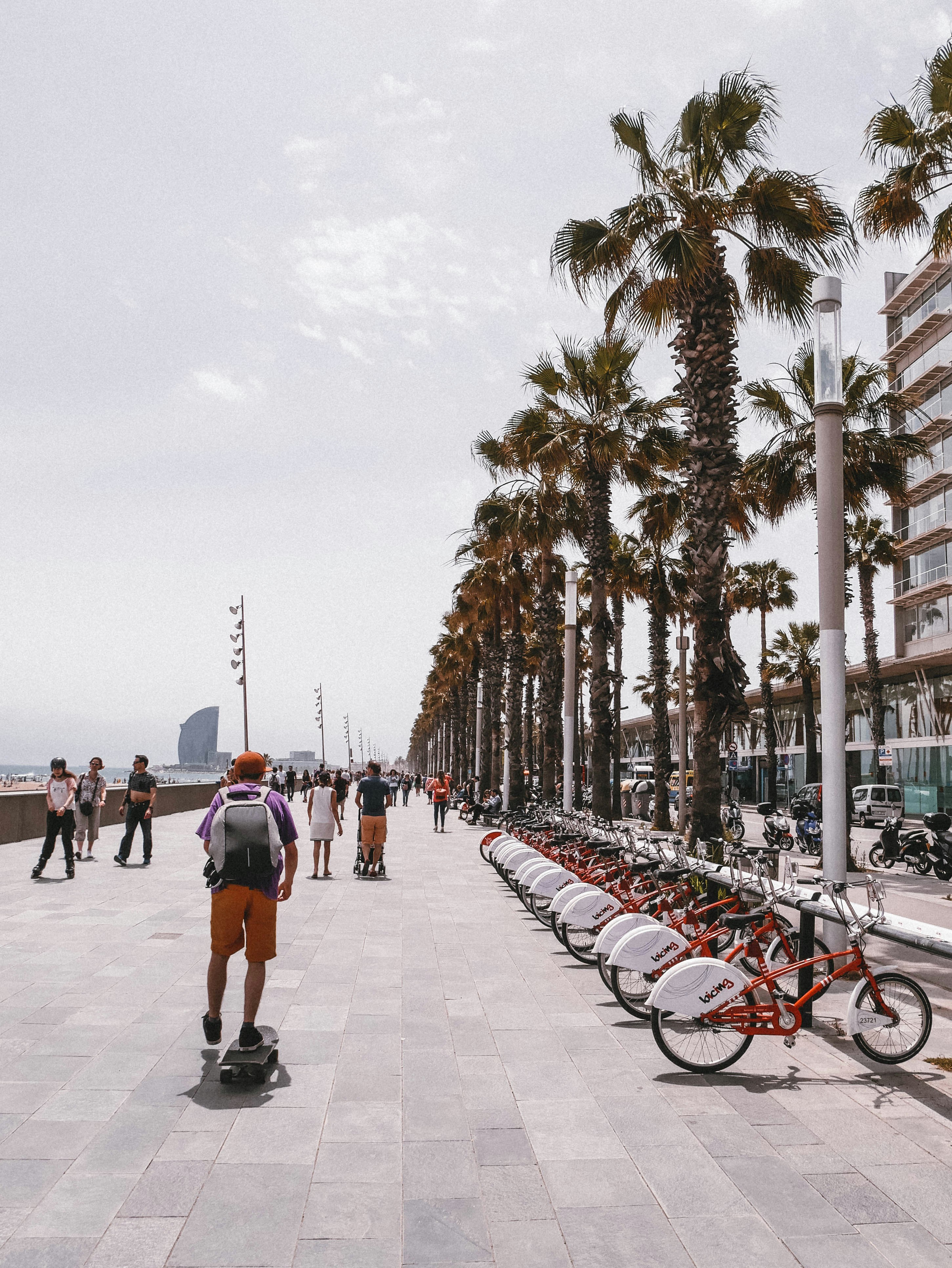 Top 100 empresas de portal educativo con notas y tutoriales Barcelona 2026