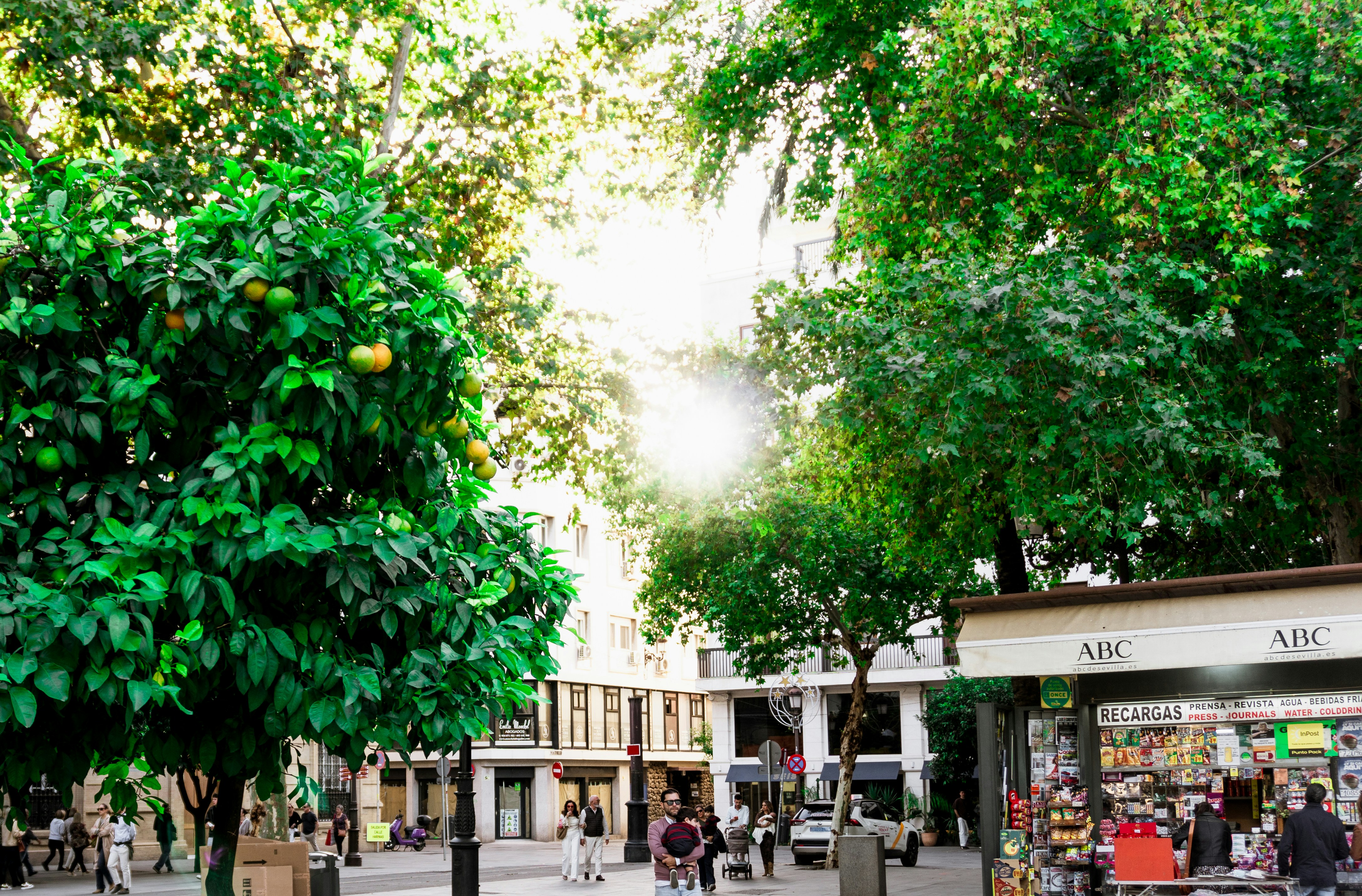 Top 100 empresas de software personalizado para retail en Sevilla