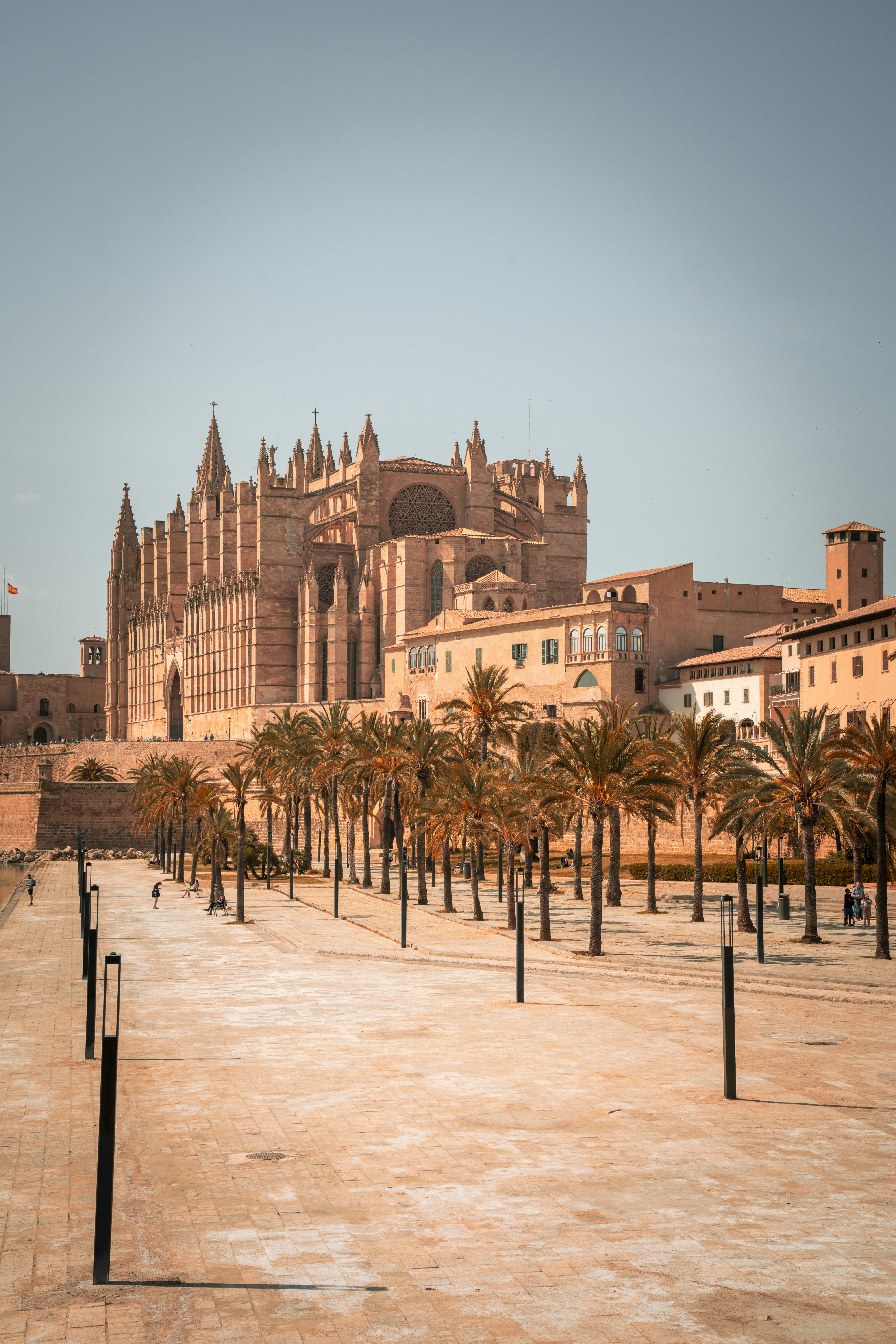 Los 100 mejores expertos en desarrollo web a medida en Palma