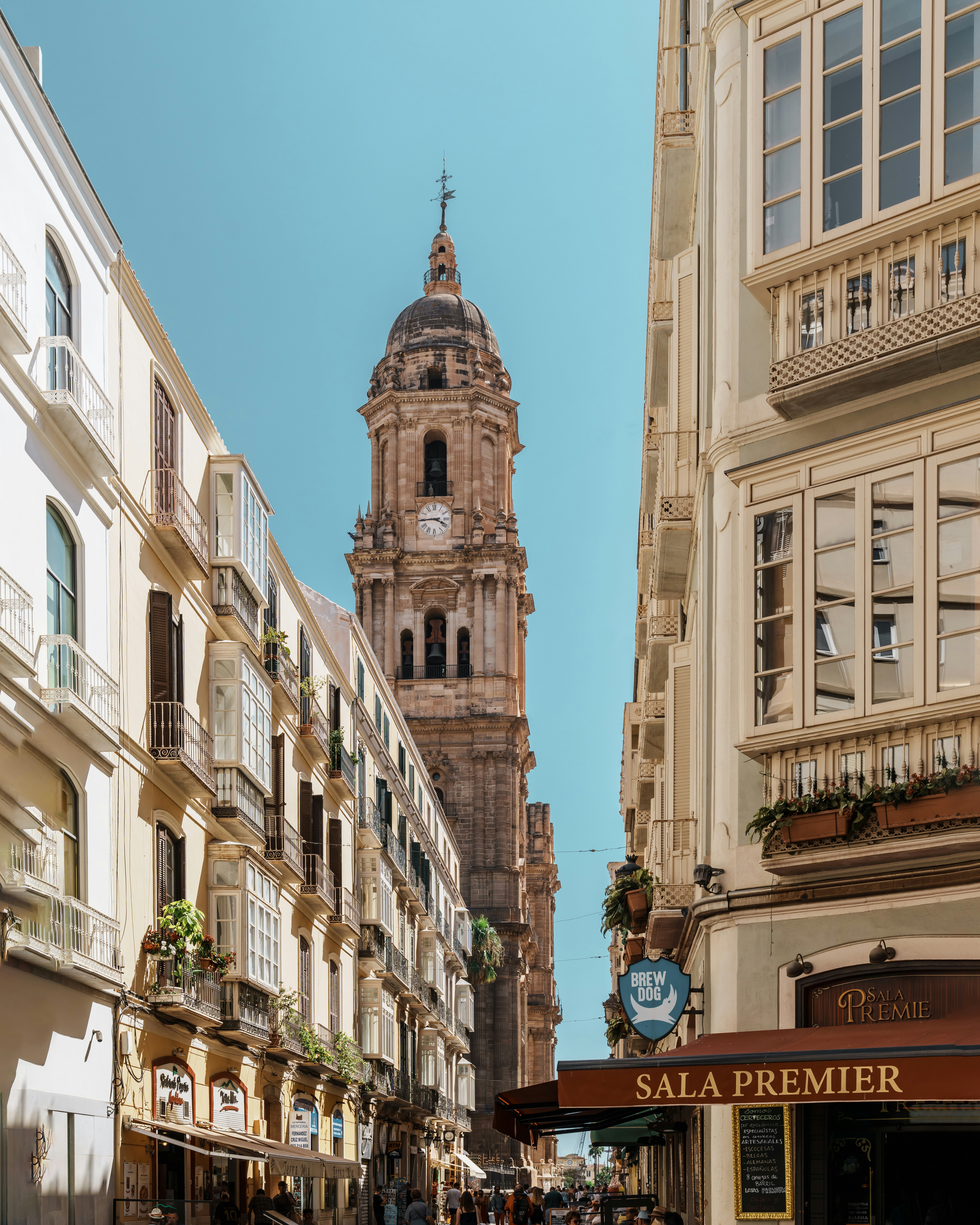 Los 5 mejores expertos en desarrollo de SaaS a medida en Málaga