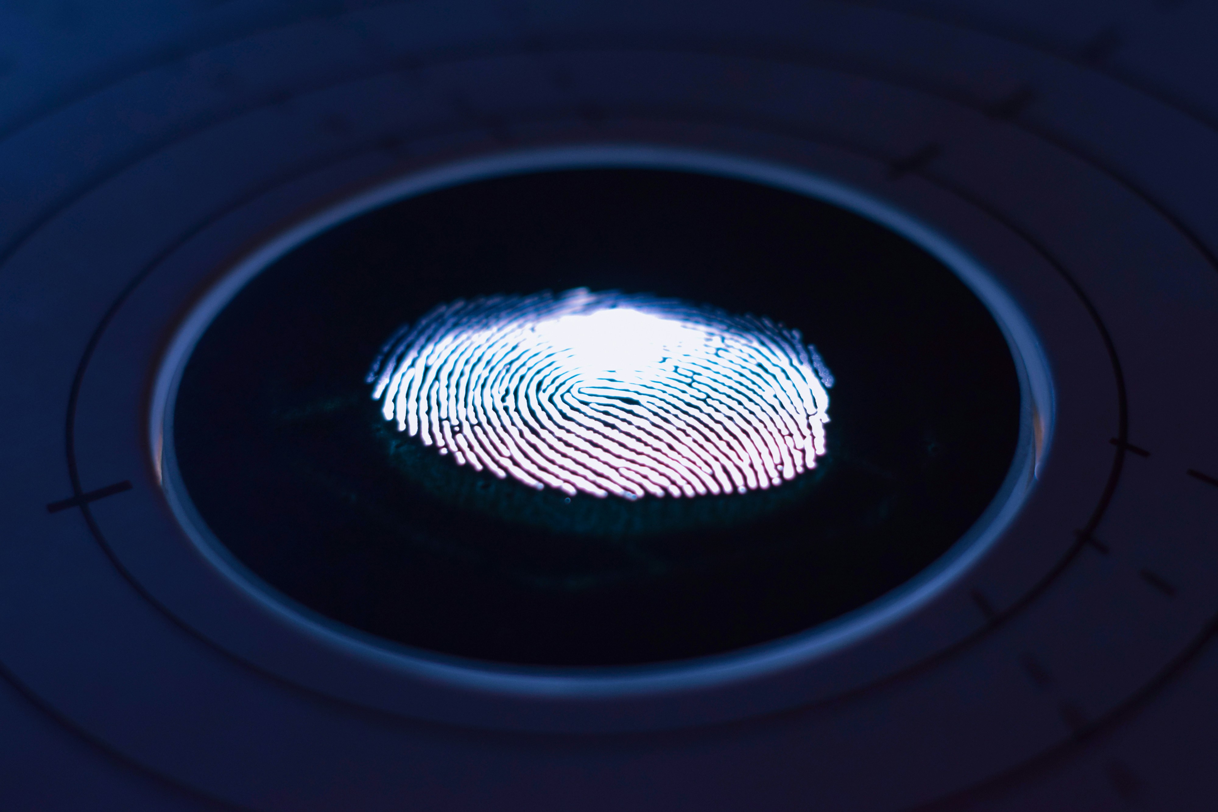 Top 5 expertos en portal de inversor con KYC y AML en Valencia 2026