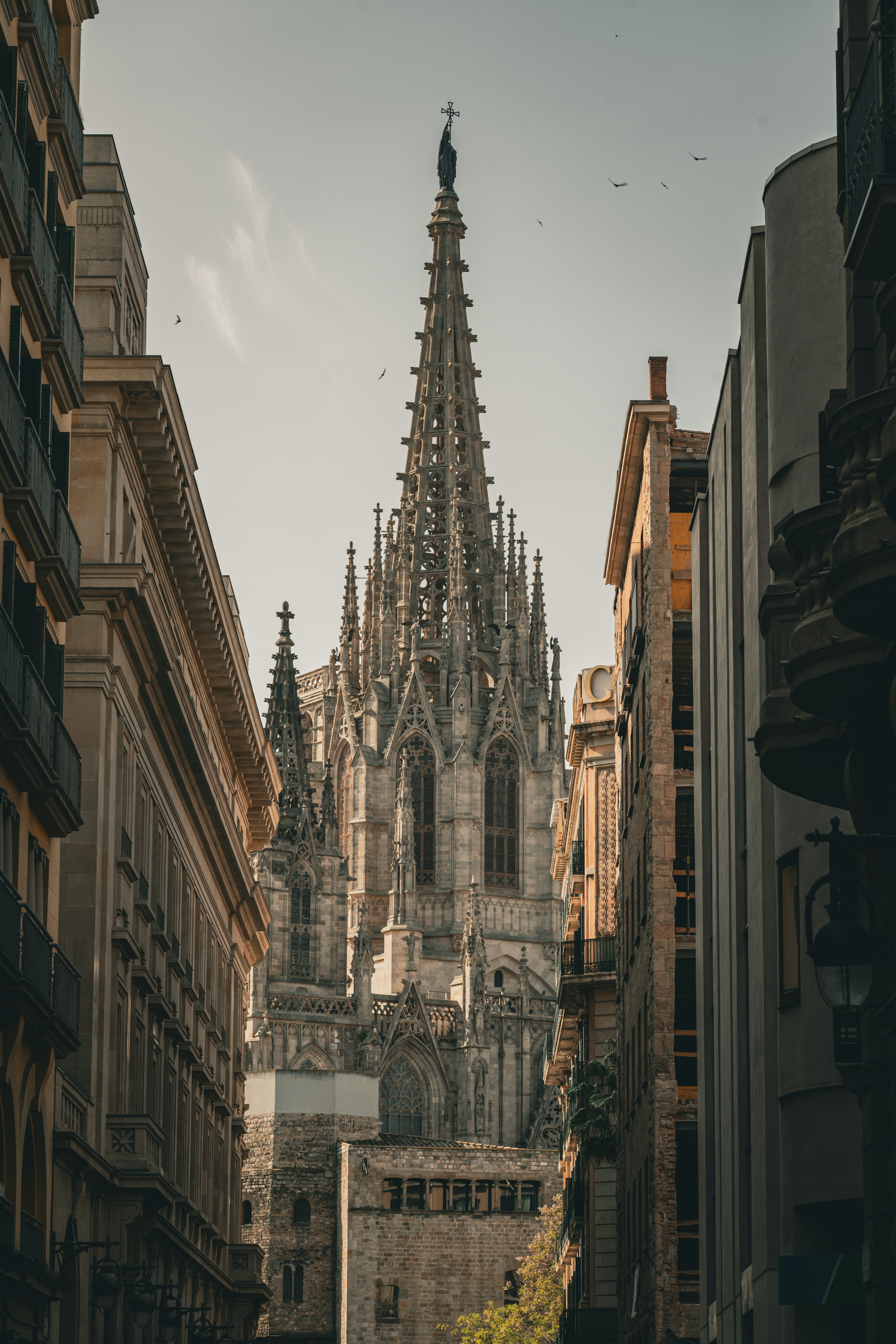 Top 5 Expertos en Reducir Errores Contables con Software en Barcelona