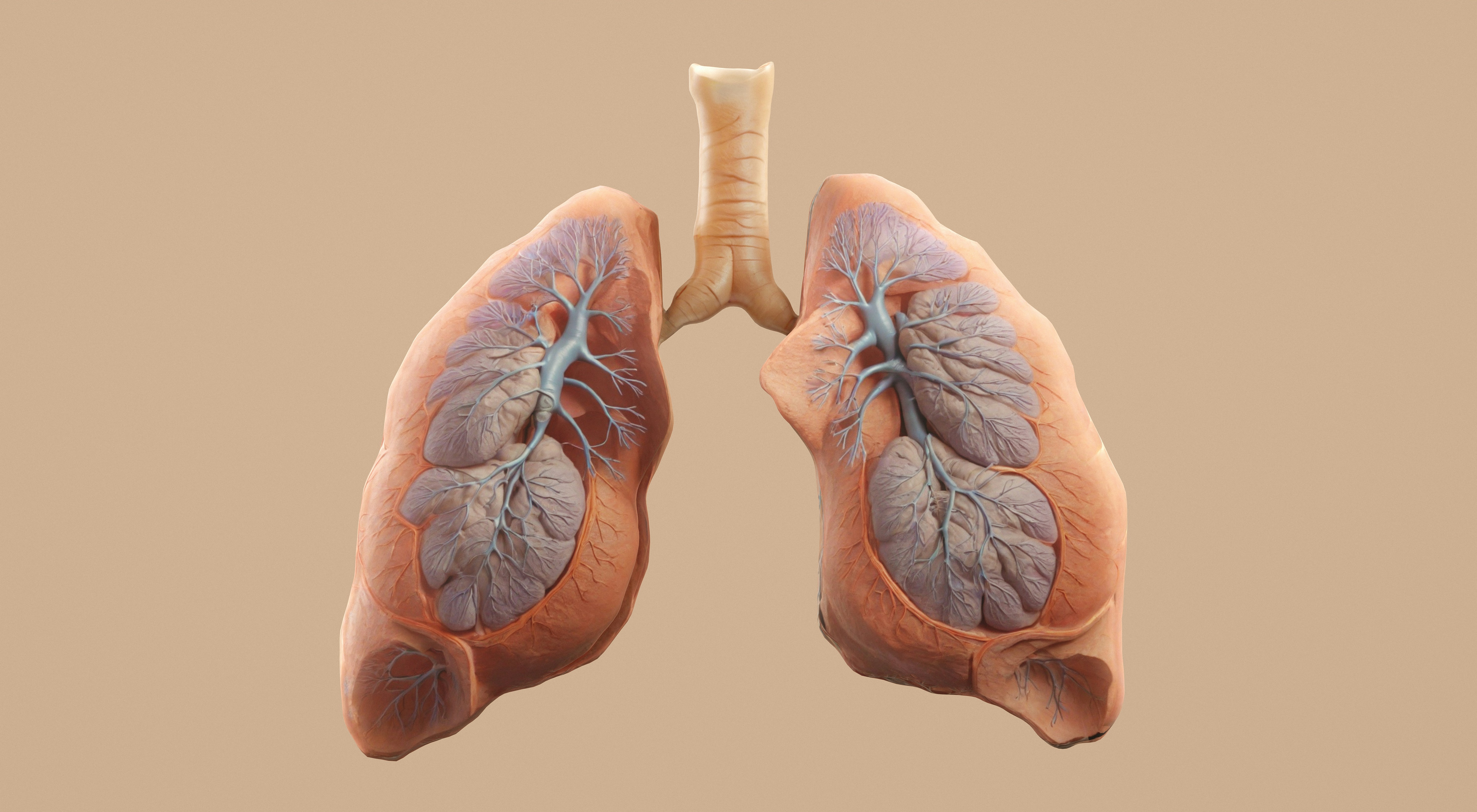 Traj-Evolve: Sistema multiagente autoevolutivo para detección de cáncer pulmonar