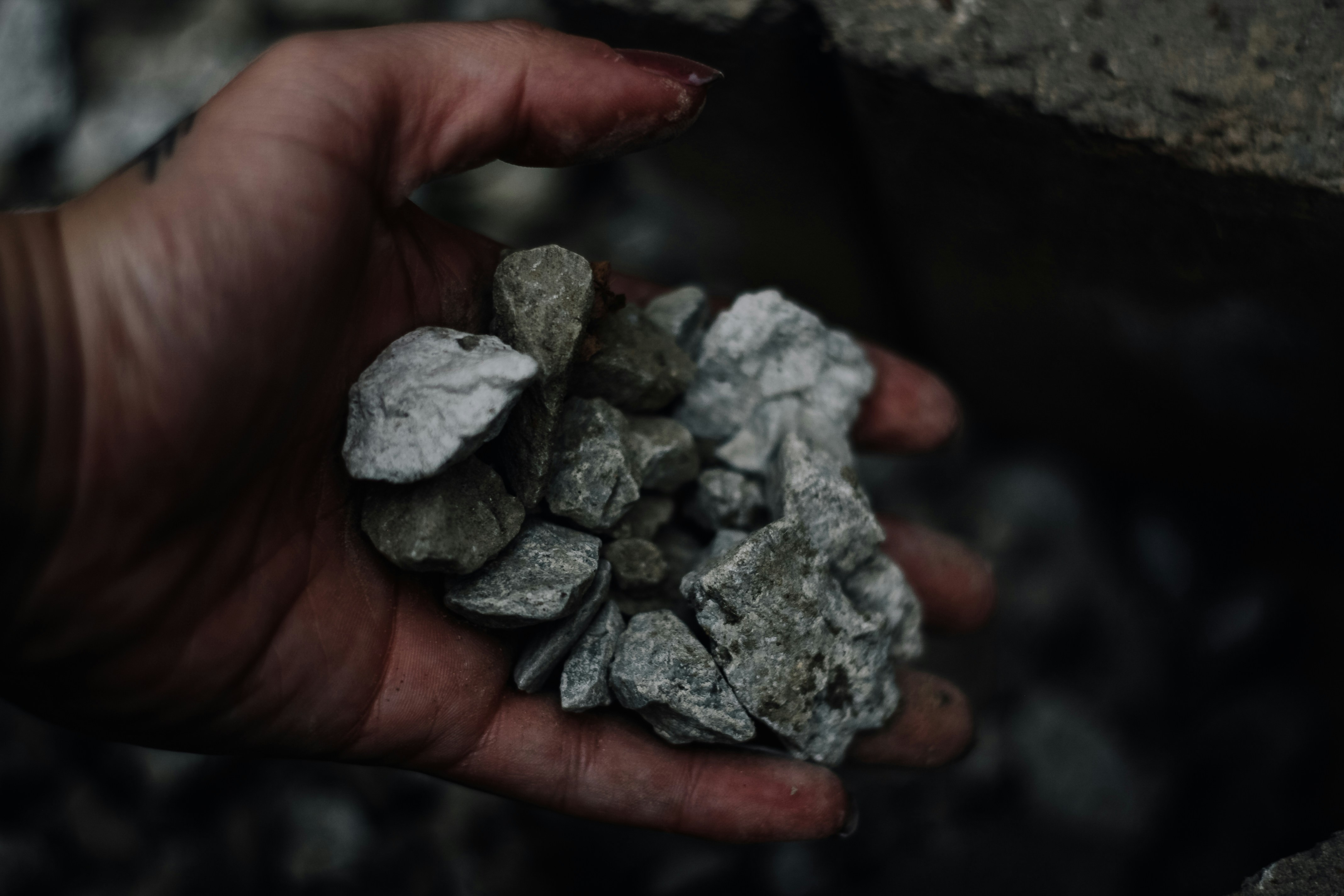 Amadeus Transforma la minería en Inteligencia con el primer bloqueo de cadena de pensamiento del mundo