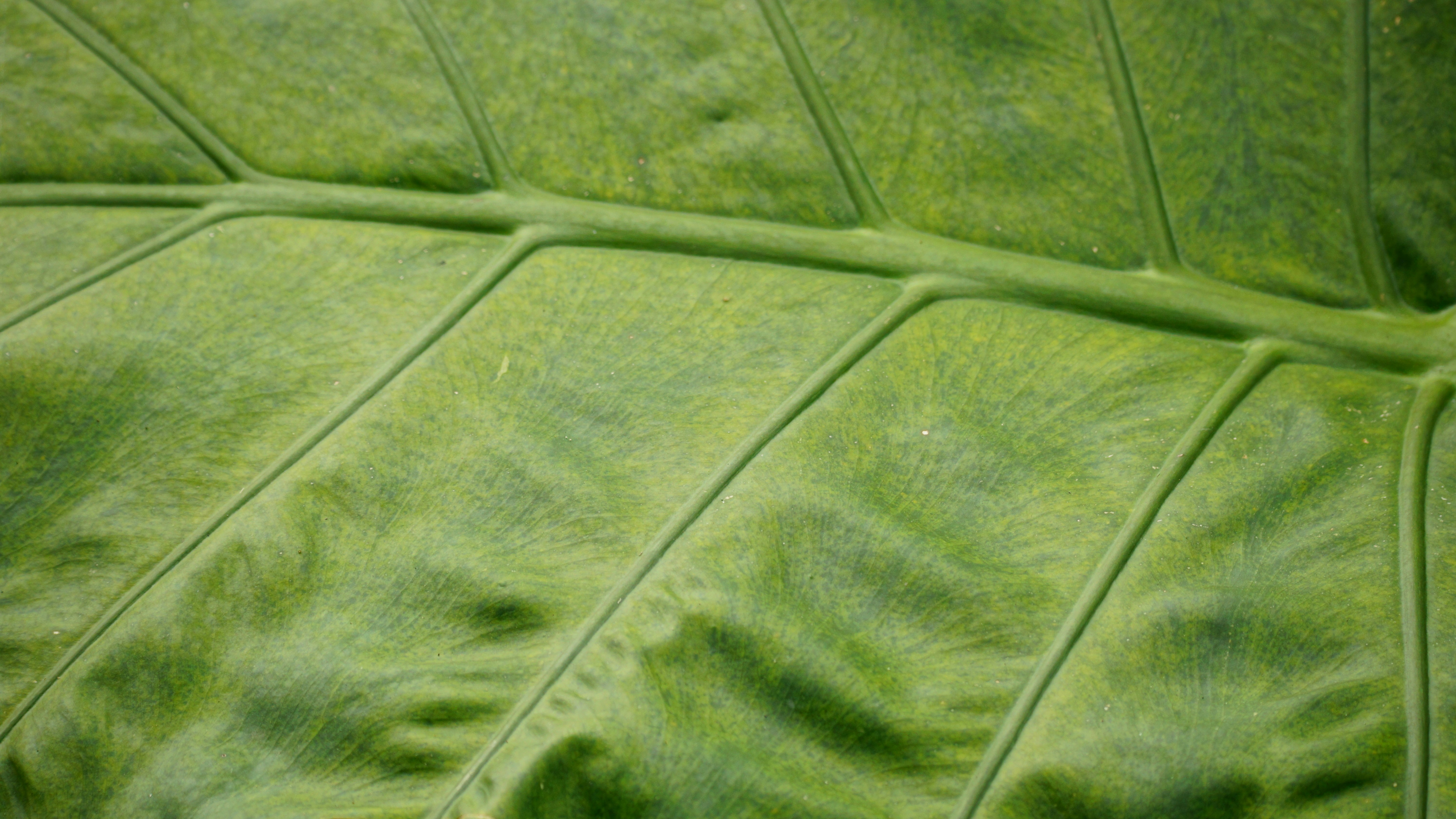 ¿Cómo pasar de las hojas de cálculo al soporte de la automatización apoya la transformación digital?