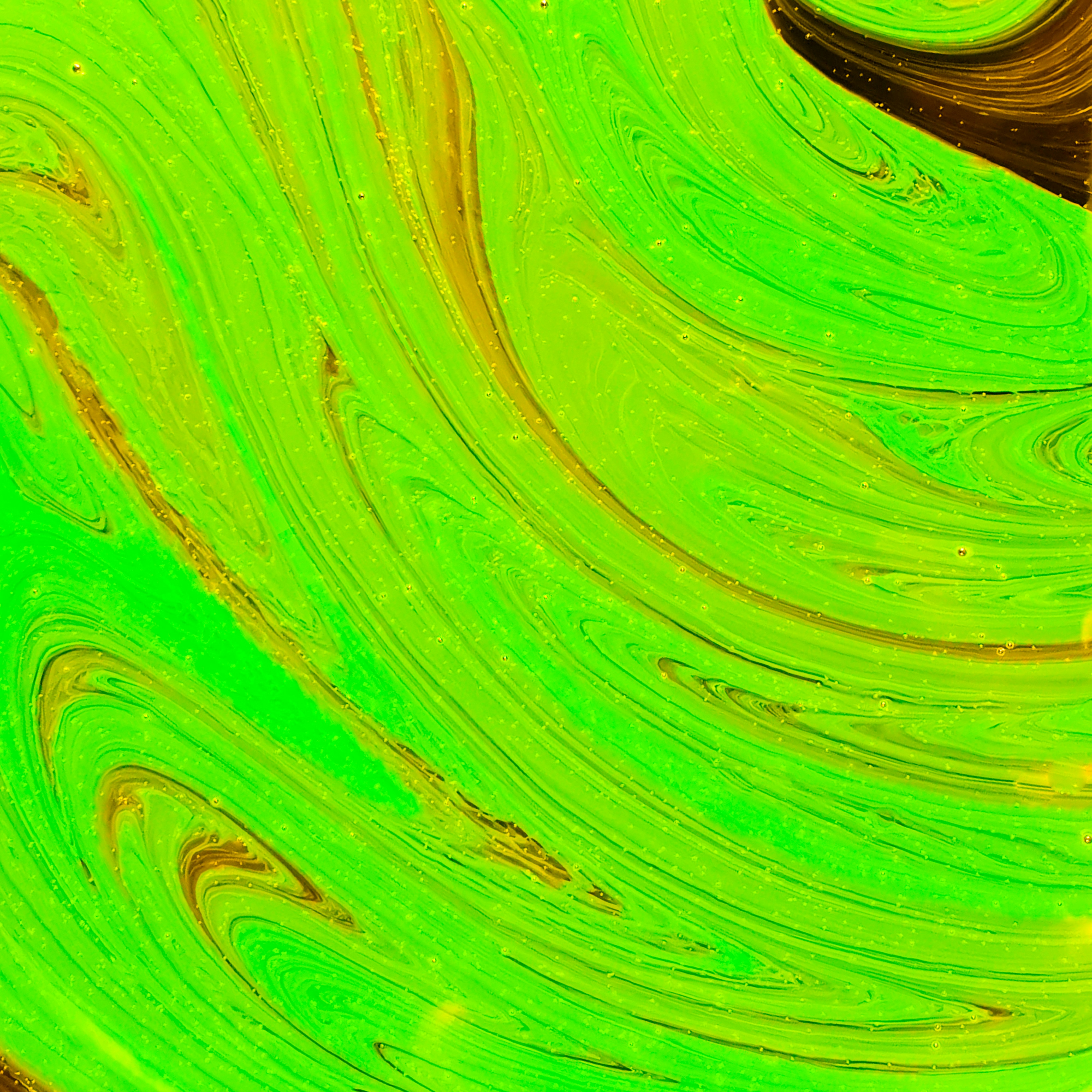 Transformer Modelos superan a los algoritmos tradicionales en la detección de anomalías en registros